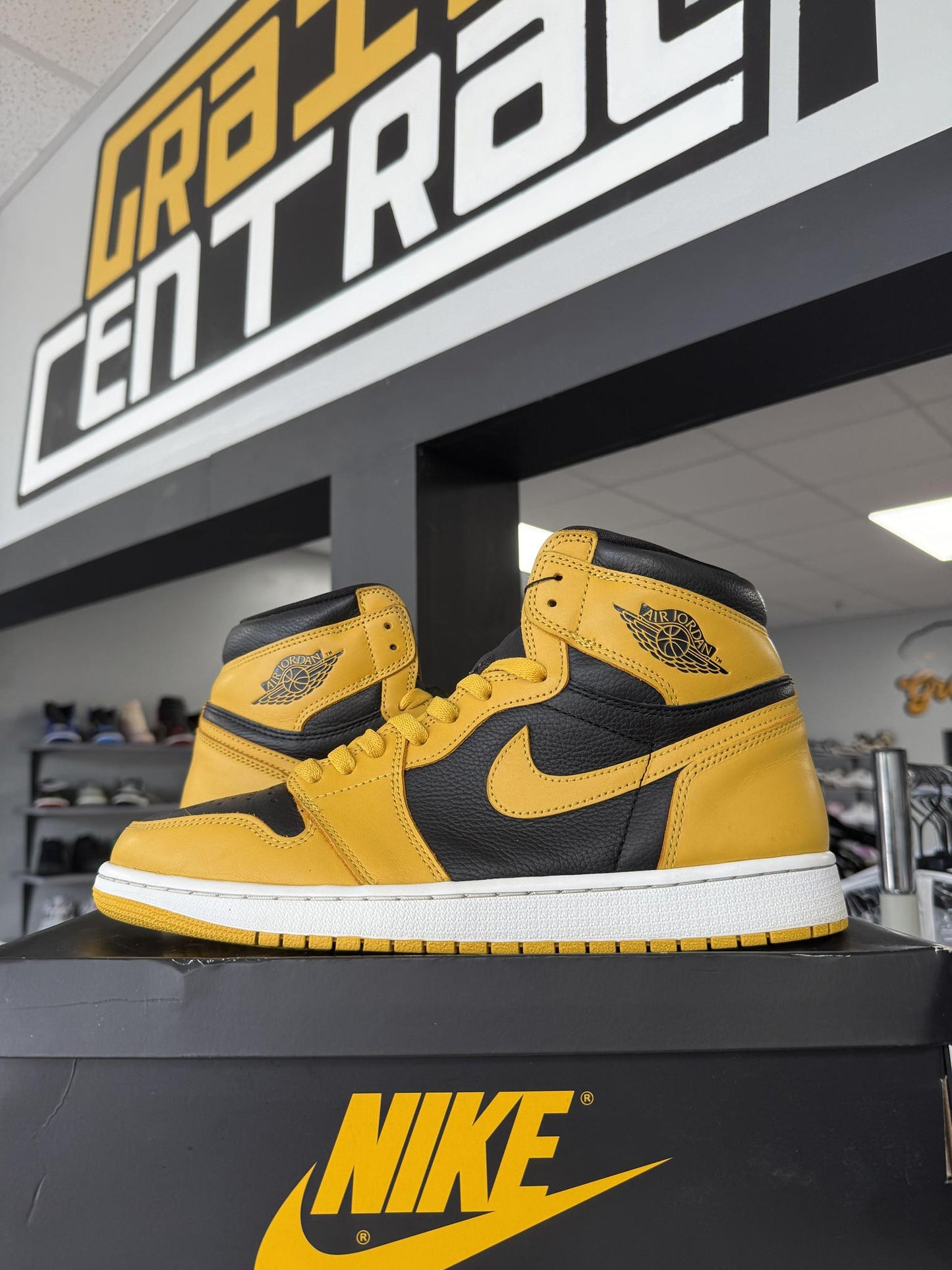 Jordan 1 "Pollen" Used