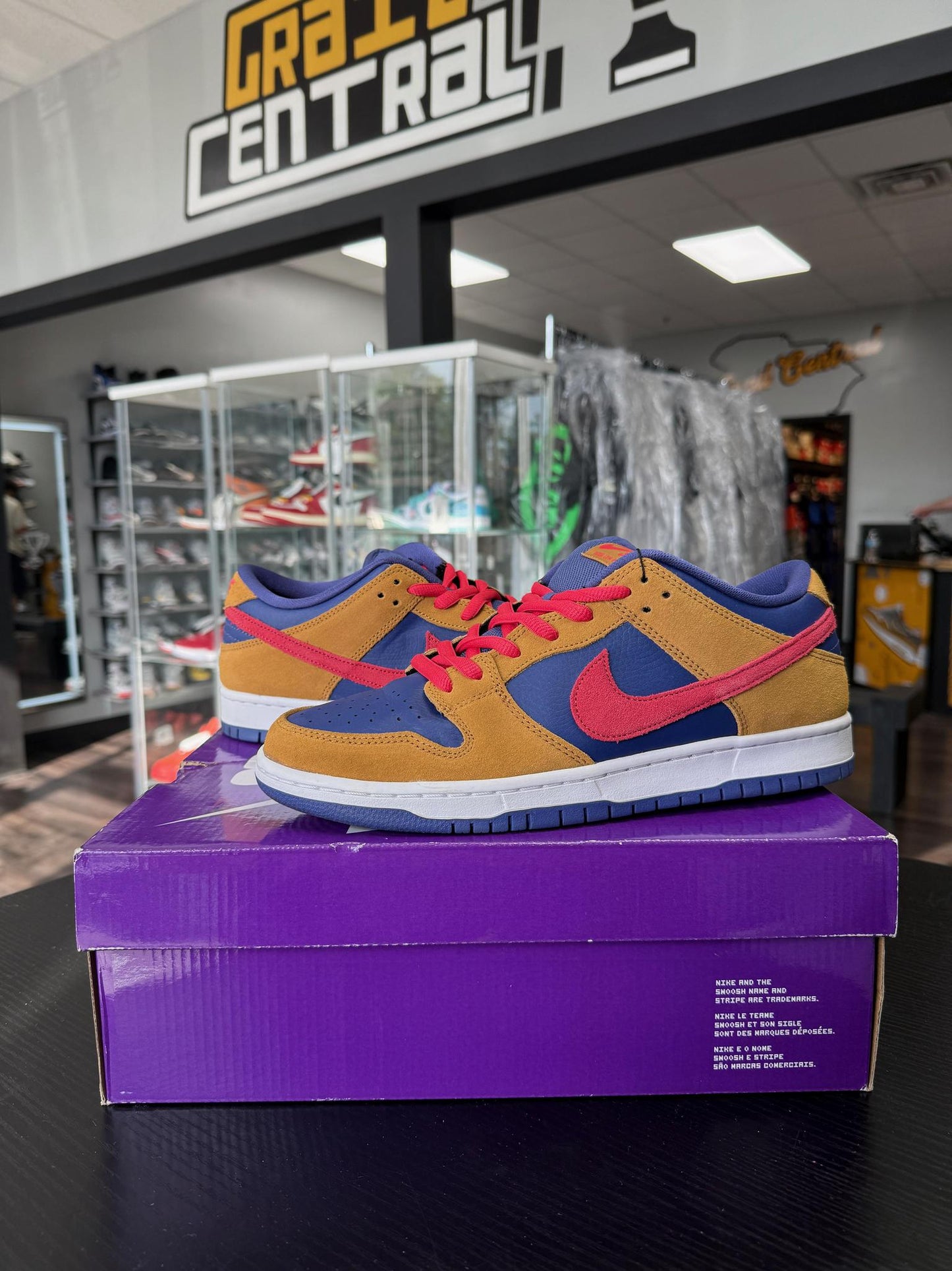 Dunk Low SB "Reverse Papa Bear" Used Size 10