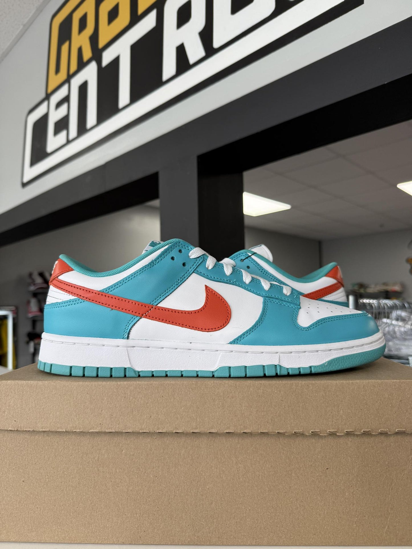 Dunk Low "Miami" Used Size 12