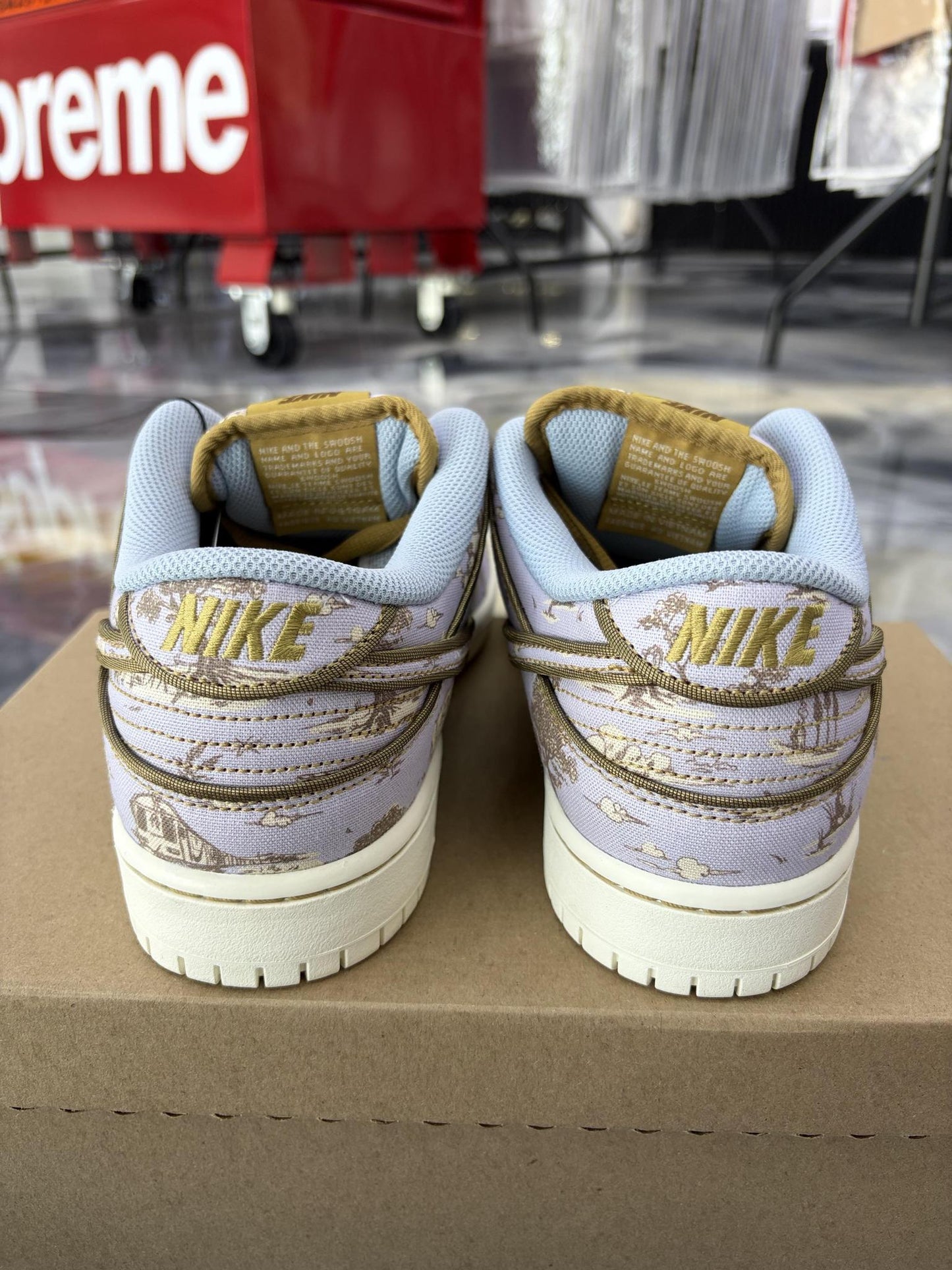 Nike SB Dunk Low "City of Style" Used Size 9.5