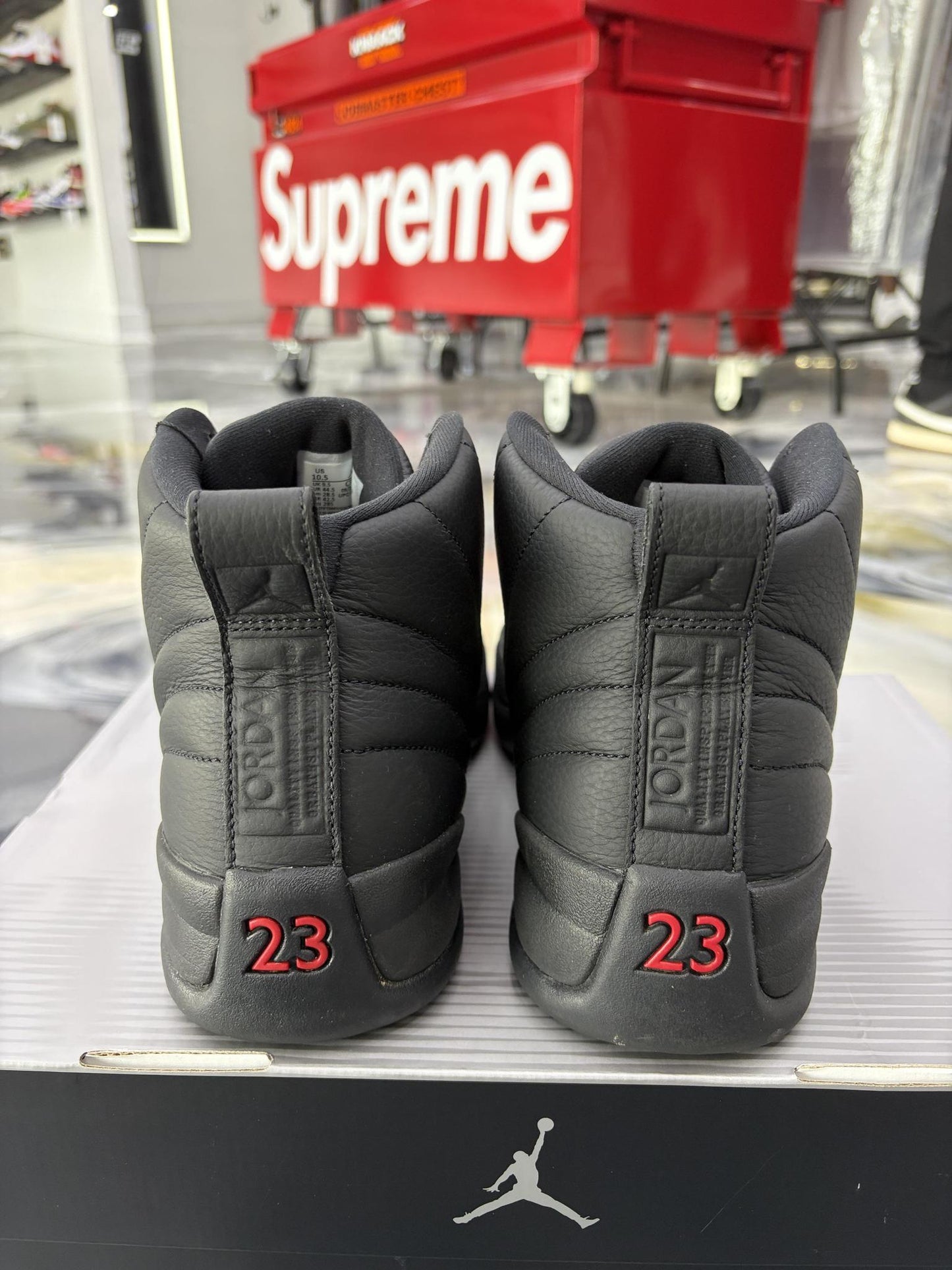 Jordan 12 "Bloodline" Used Size 10.5