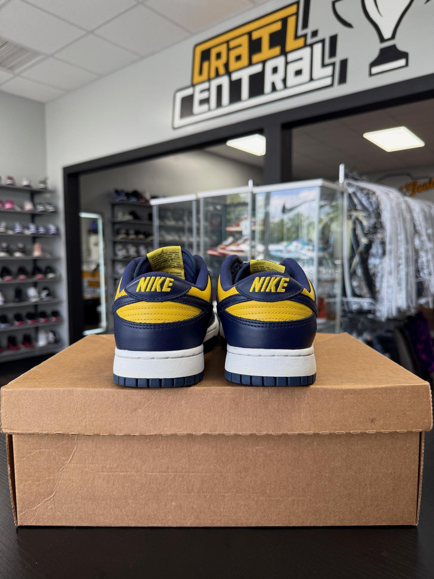 Nike Dunk Low Michigan Used Size 9