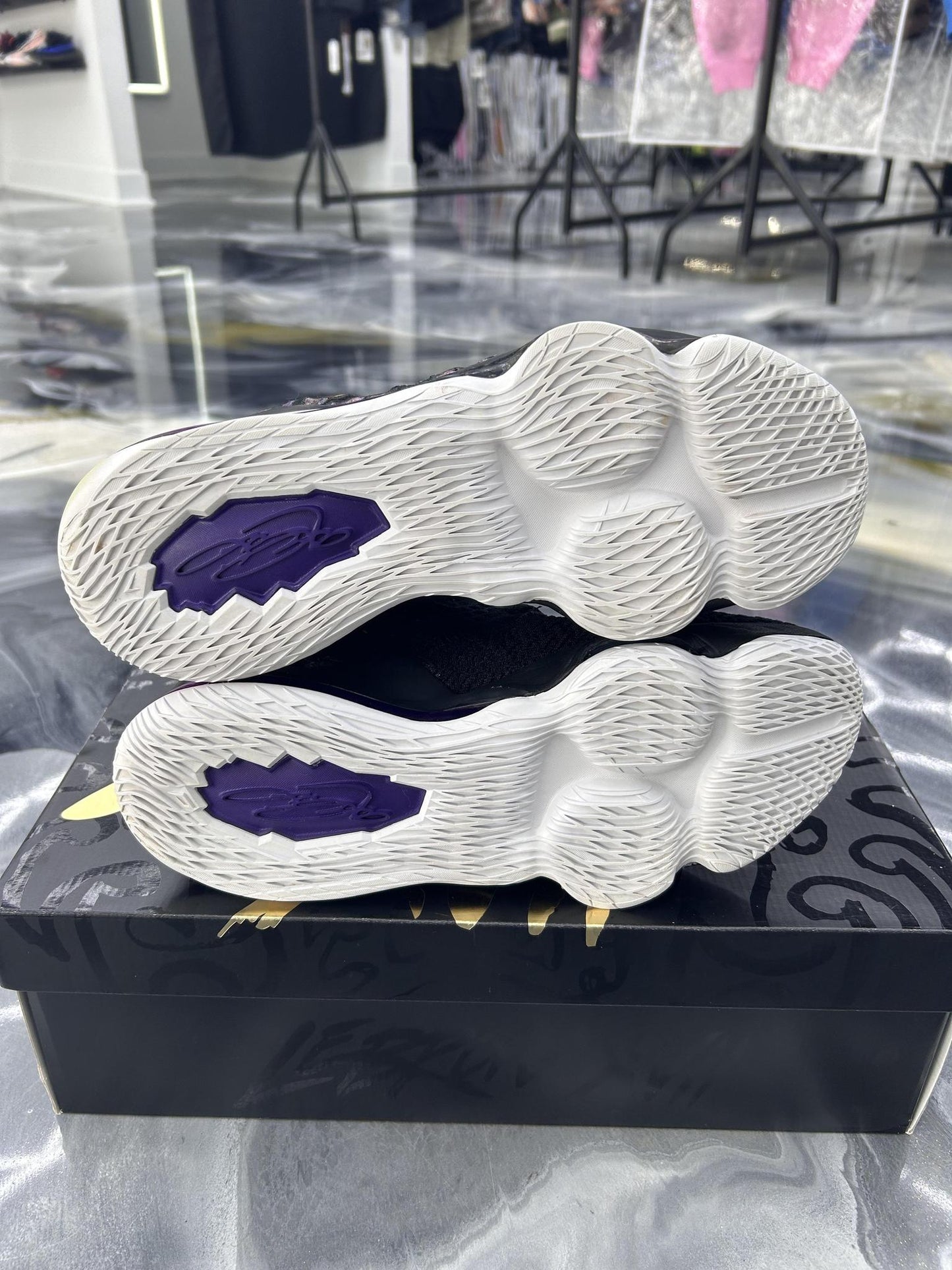 Lebron 17 "Lakers" Used Size 9.5