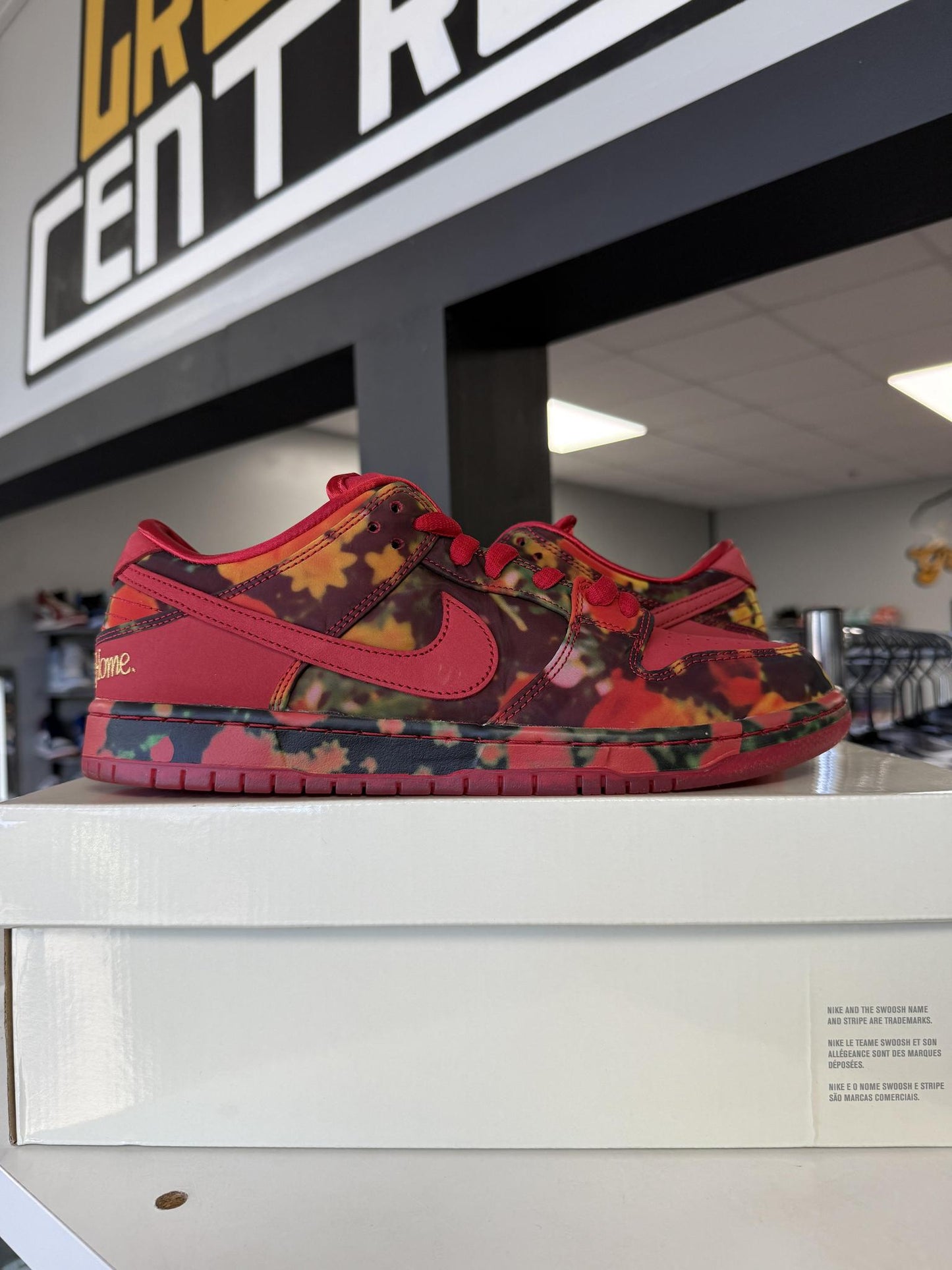 SB Dunk Low "Wizard Of Oz" Used Size 11