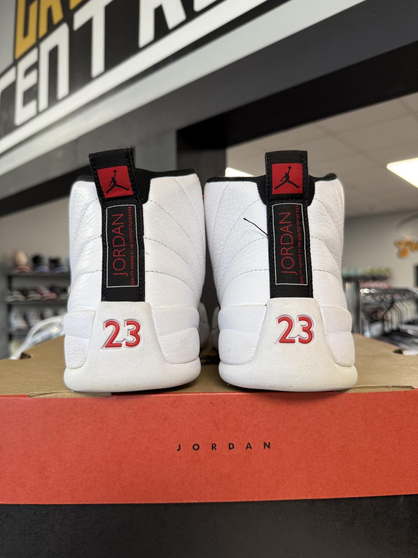 Jordan 12 "Twist" Used Size 10.5