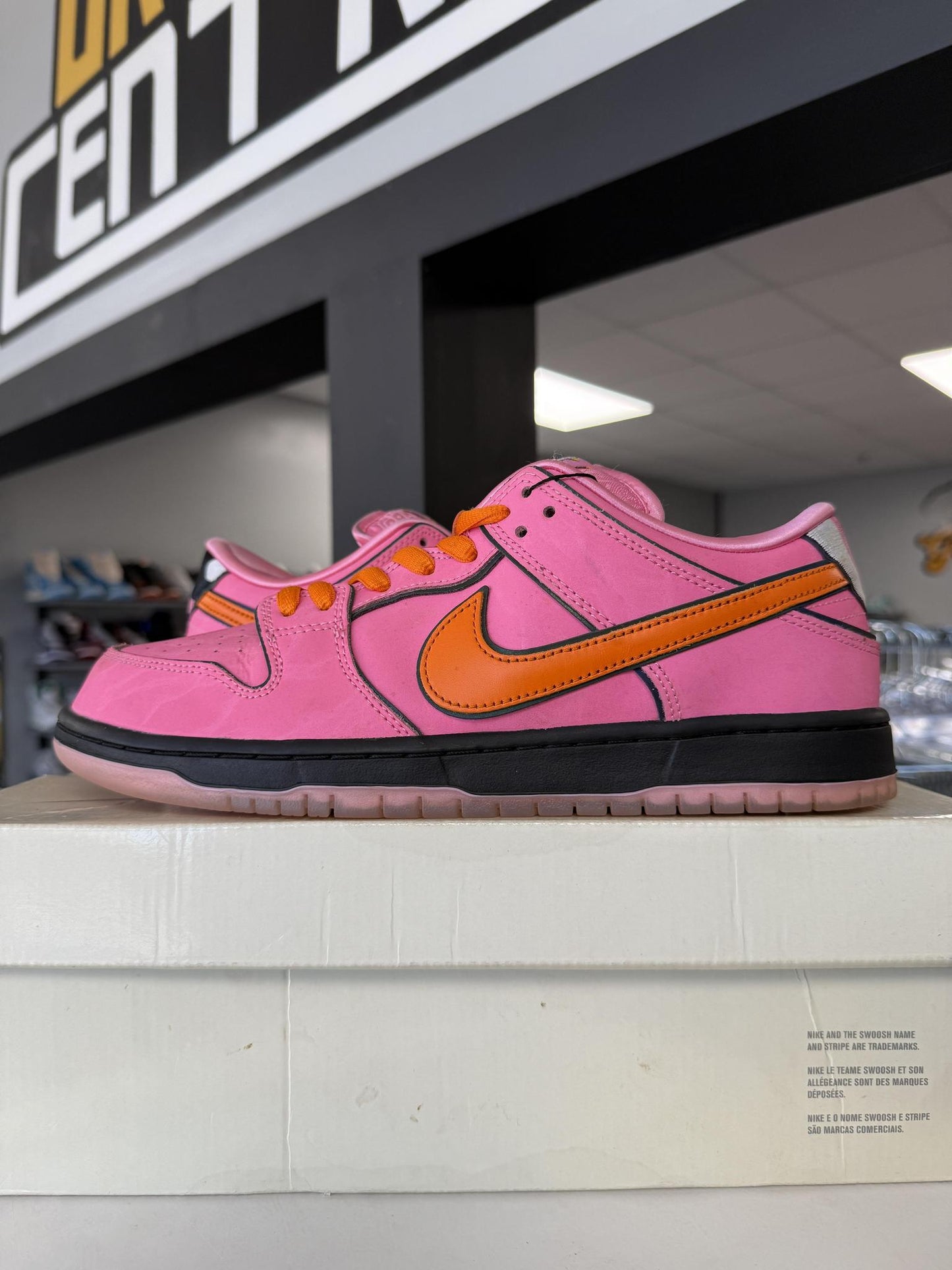 Dunk Low SB x Powerpuff Girls "Blossom" Used Size 10