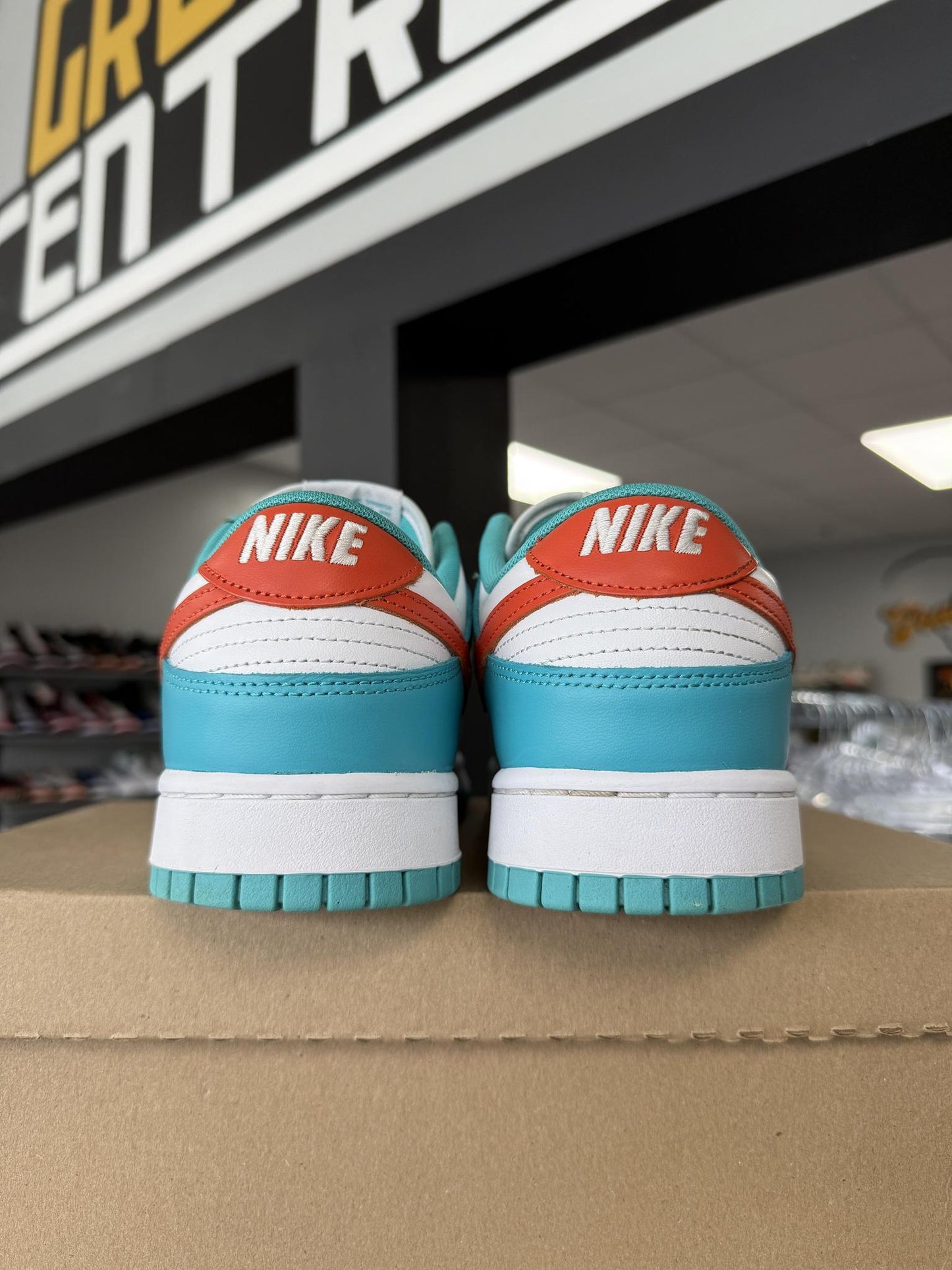 Dunk Low "Miami" Used Size 12