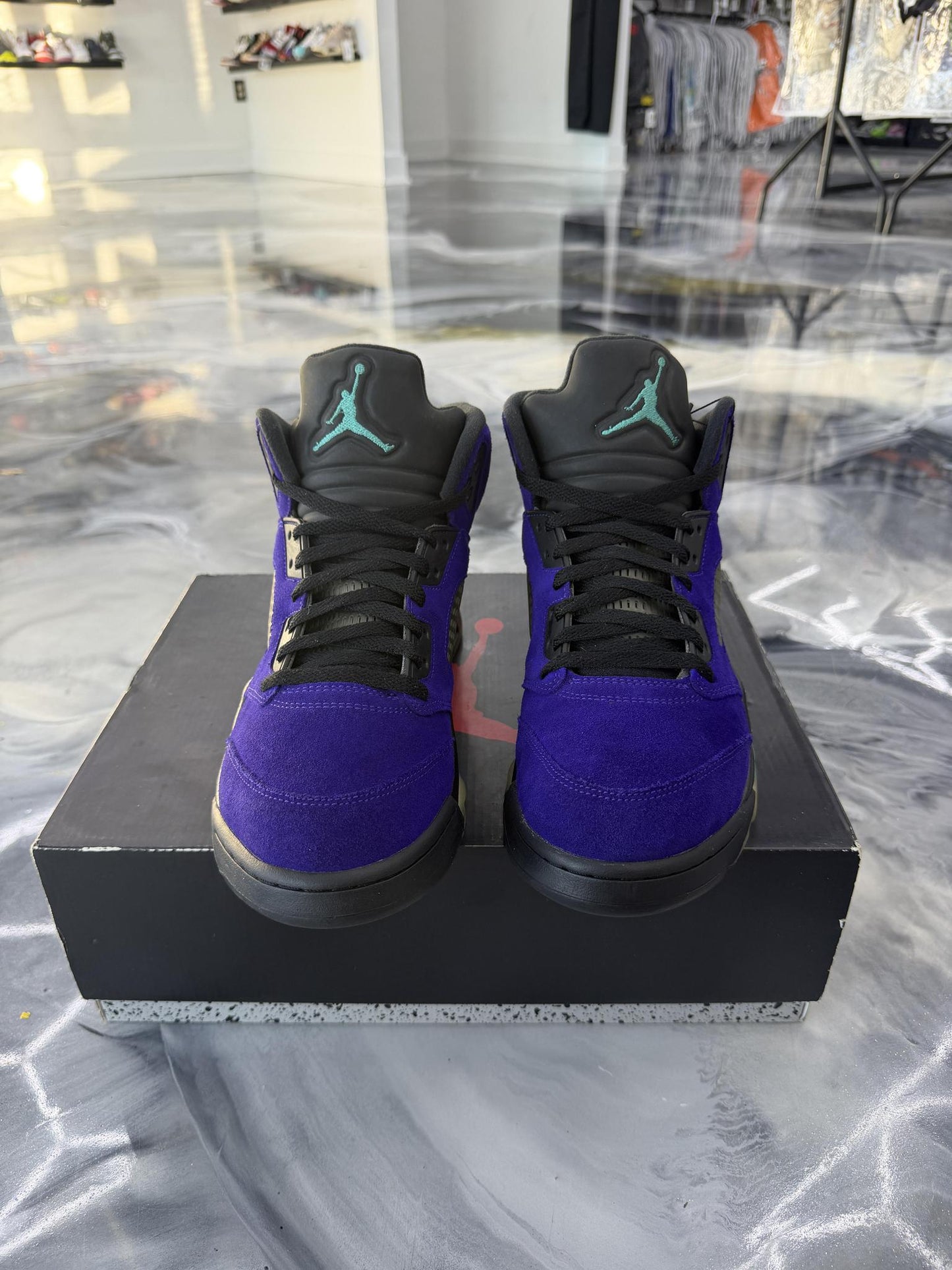 Jordan 5 "Alternate Grape" Used Size 11.5
