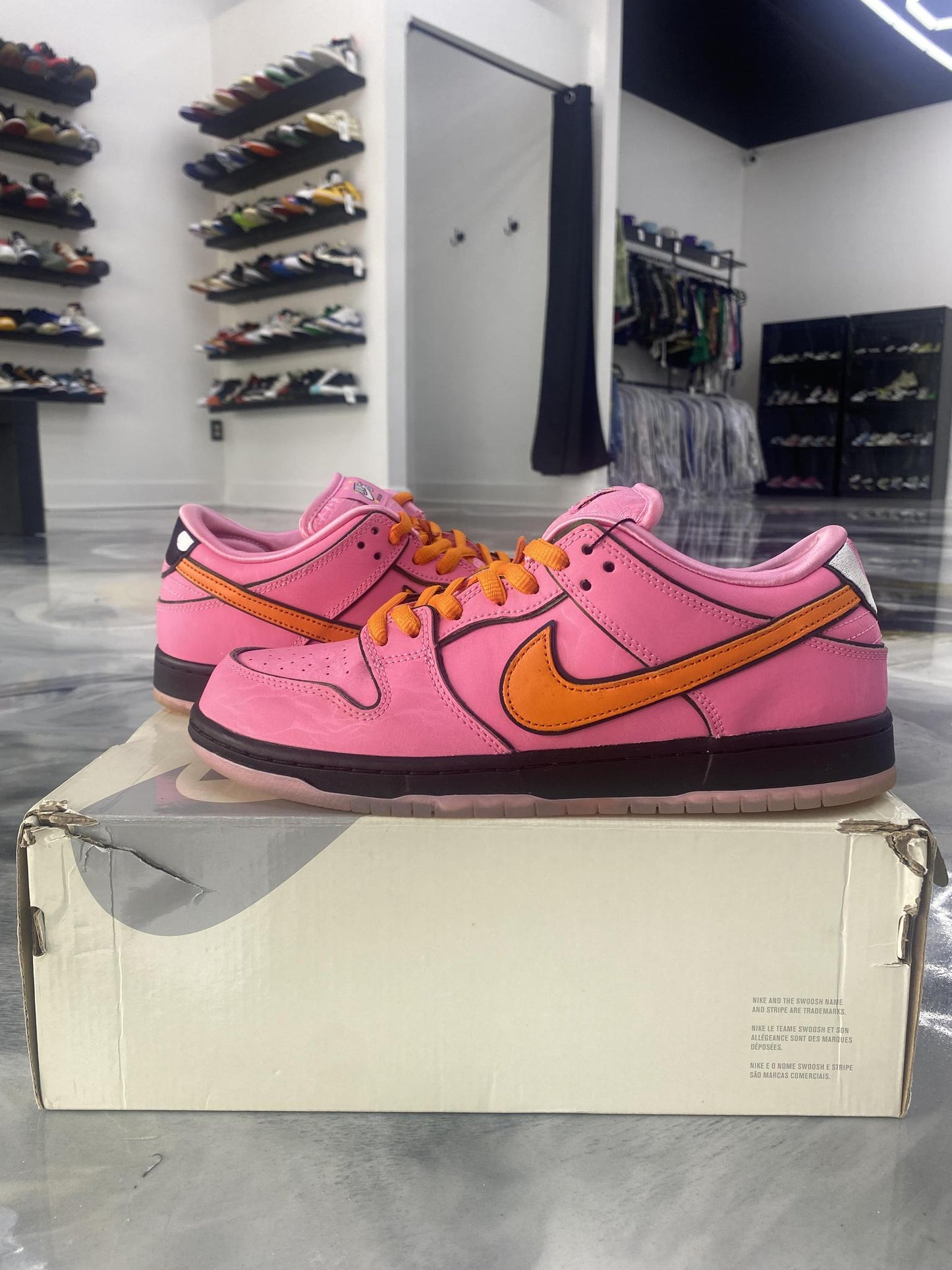 Nike SB Dunk Low x "Powderpuff" Used Size 9.5