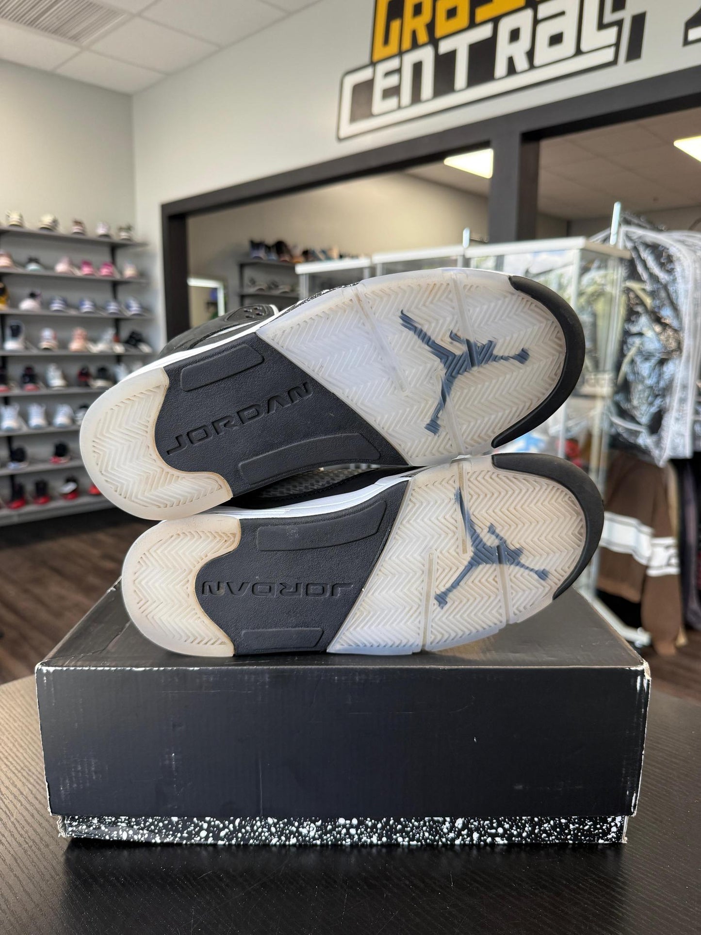 Jordan 5 "Moonlight" Used Size 9.5