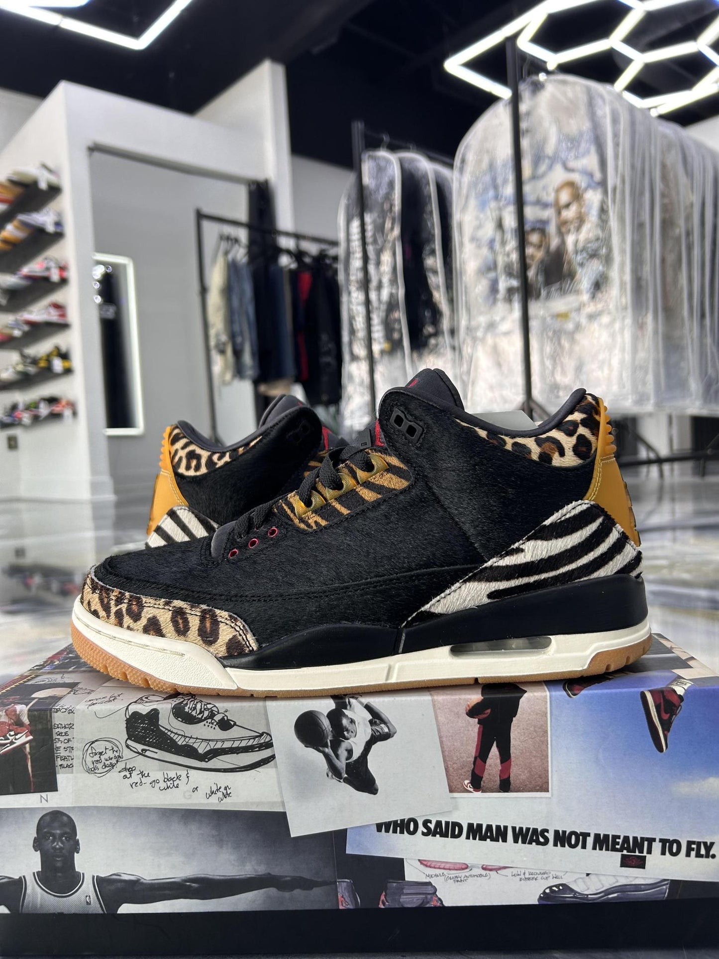 Jordan 3 "Animal Ambition" Used Size 10