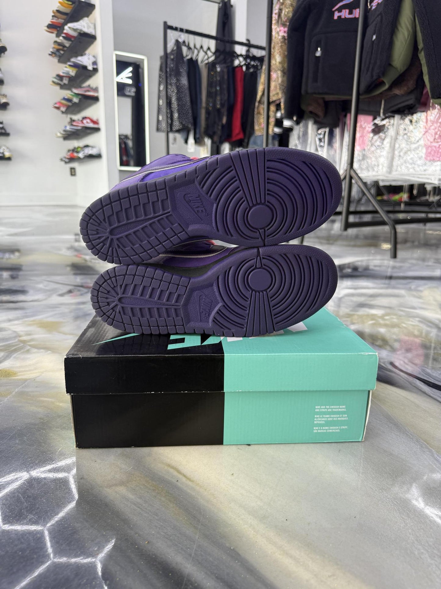 Nike SB Dunk Low "Purple Lobster" Used Size 9