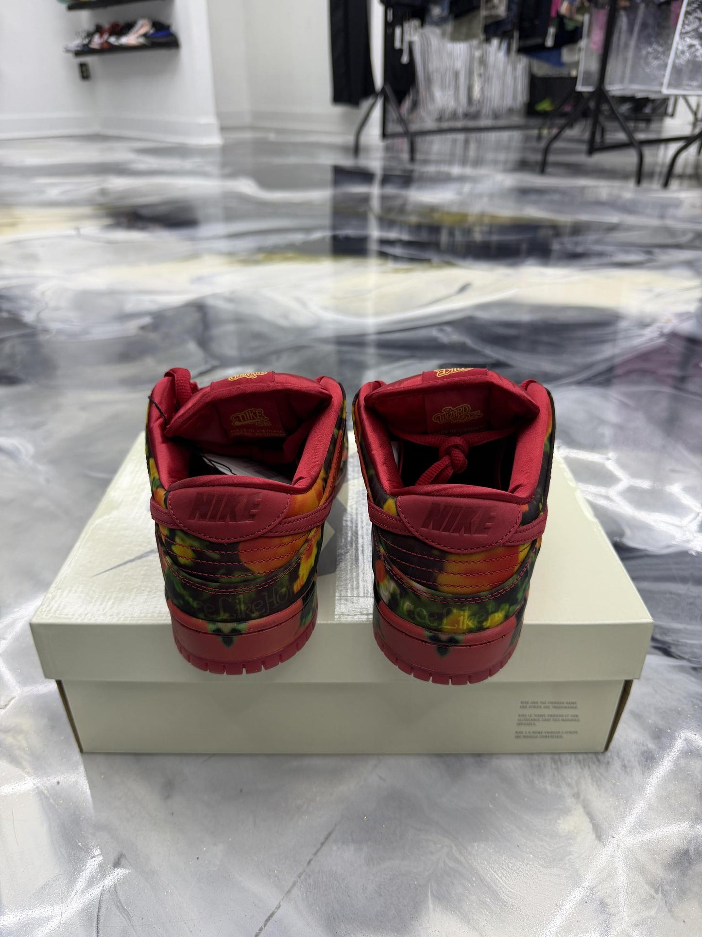 Nike SB Dunk Low "The Wizard of Oz" Used Size 9