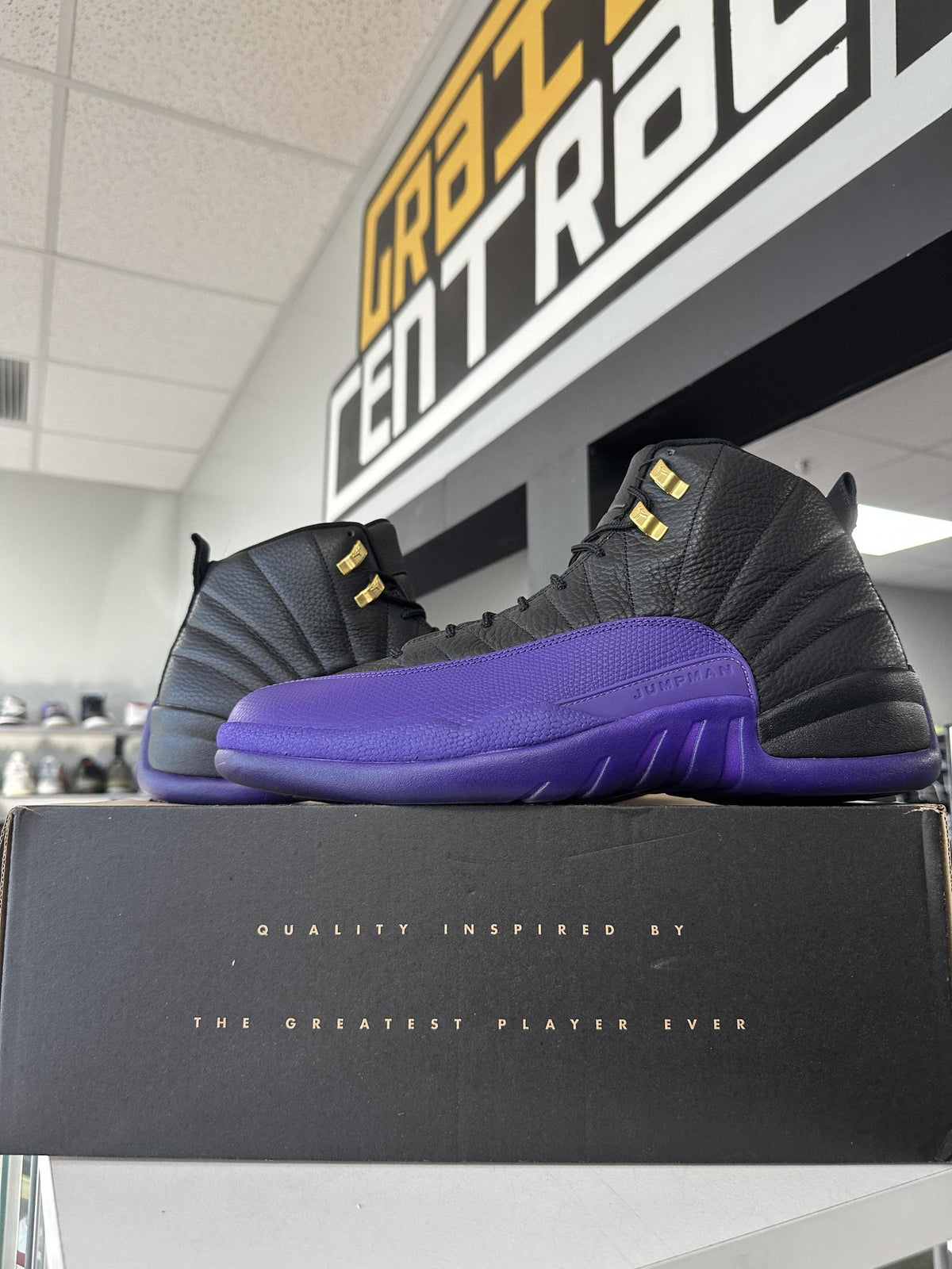 Jordan 12 "Field Purple" Used Size 14