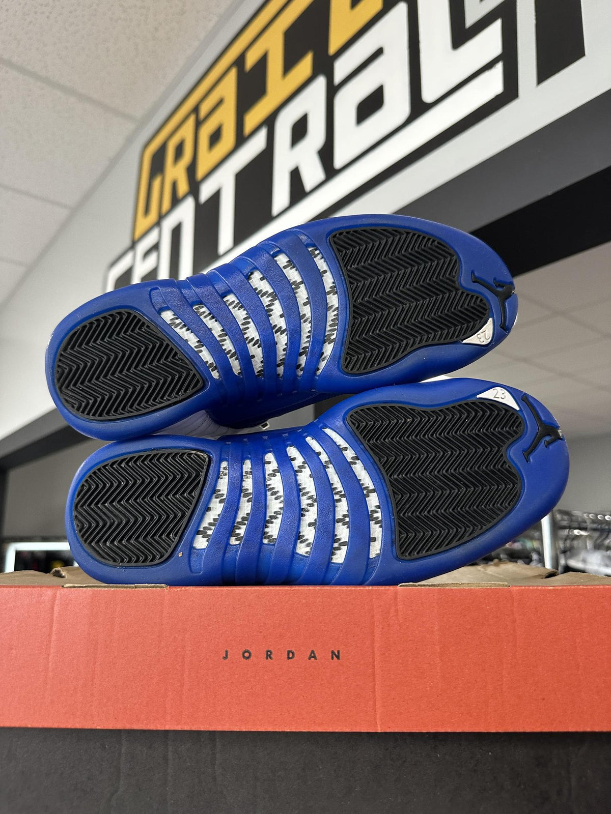 Jordan 12 "Blueberry" Used Size 7.5