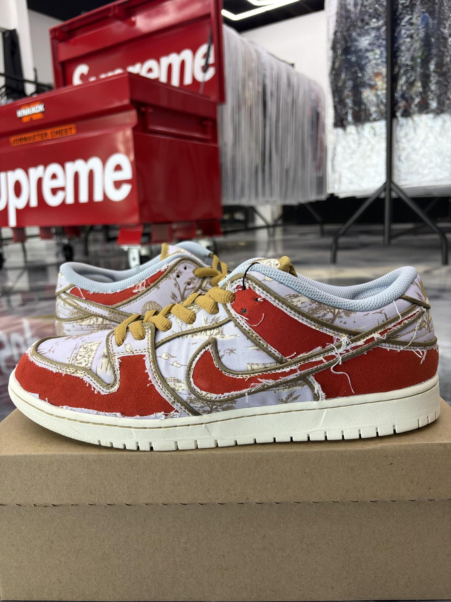 Nike SB "City Of Style" Used Size 13