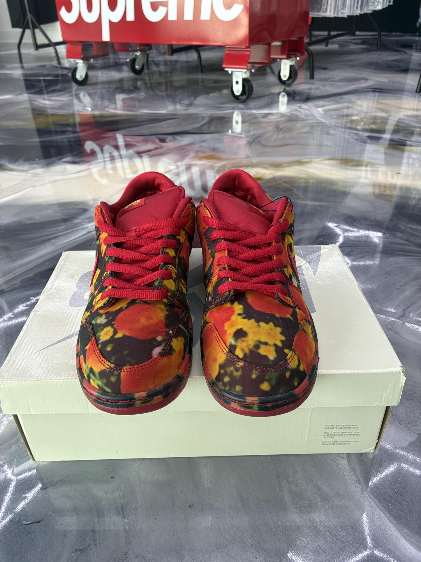 SB Dunk Low "Wizard of Oz" Used Size 13