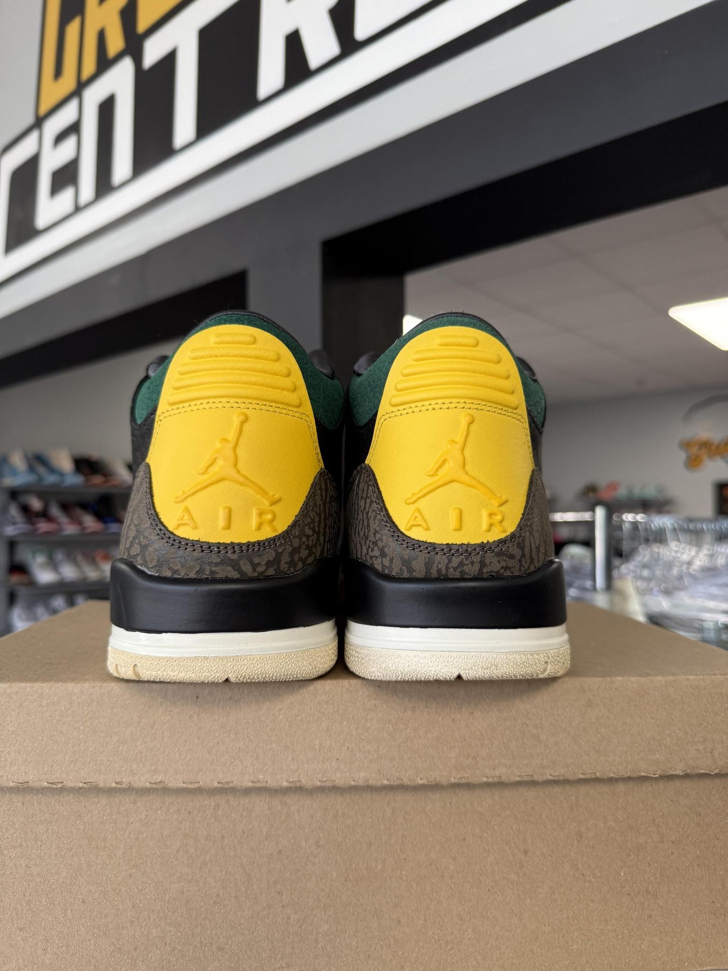 Jordan 3 "Animal Instinct 2.0" Used Size 14