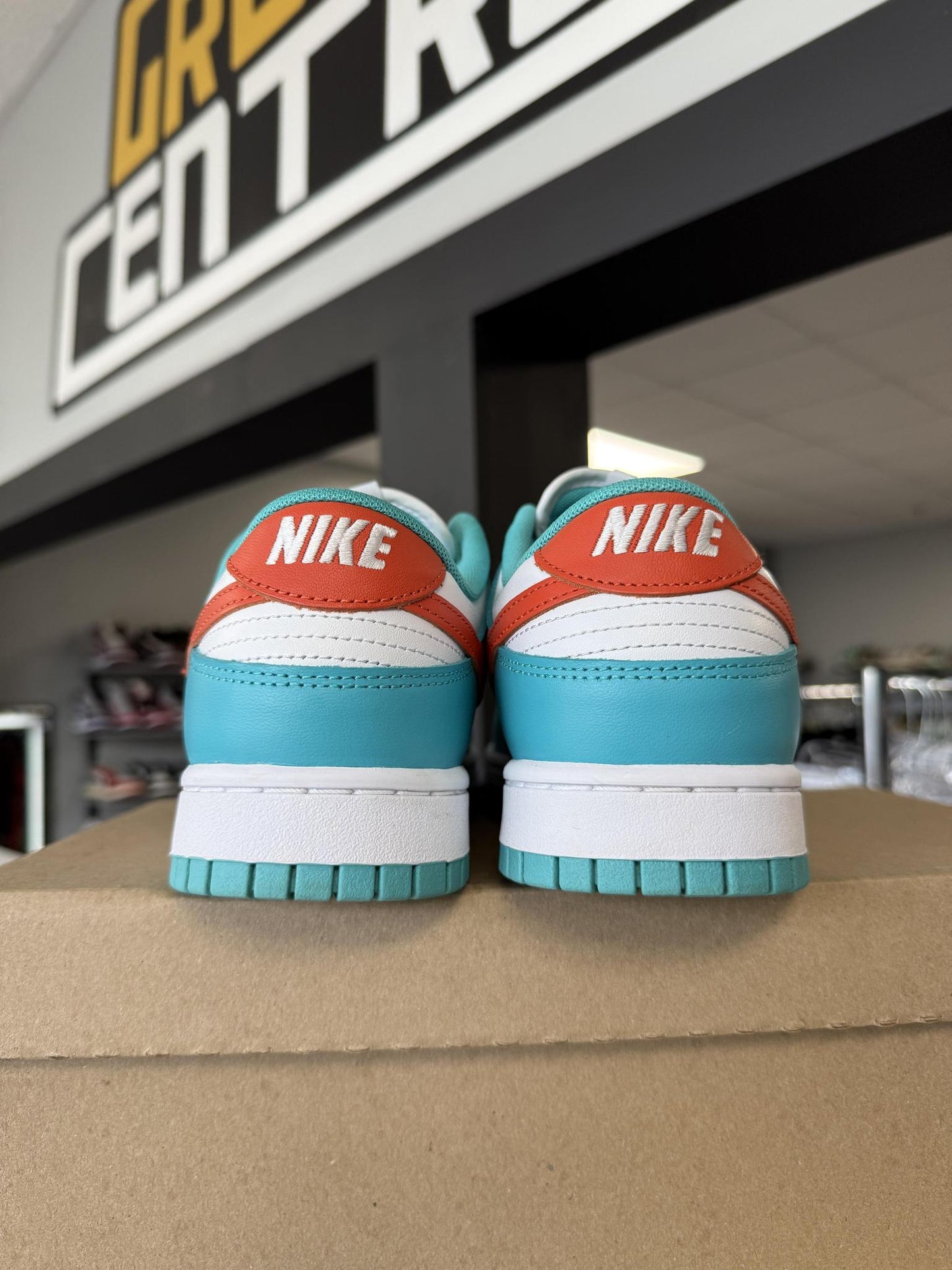Nike Dunk Low "Dolphins" Used Size 10.5