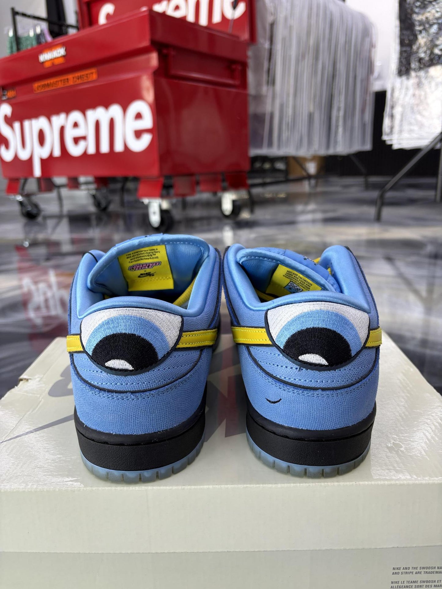 Nike SB Dunk Low "The Powerpuff Girls Bubbles" Used Size 10.5