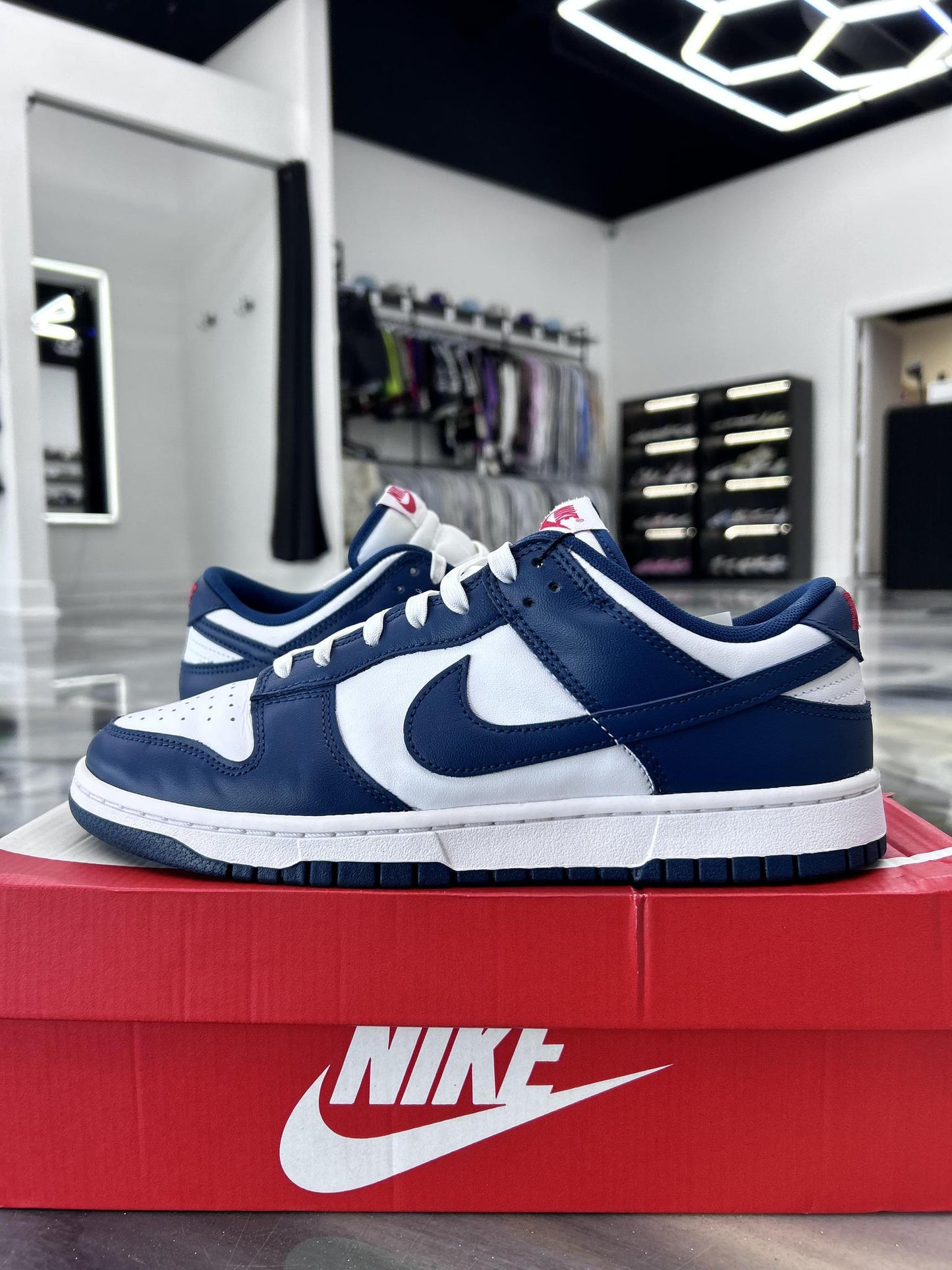 Nike Dunk Low "Valerian Blue" Used Size 10
