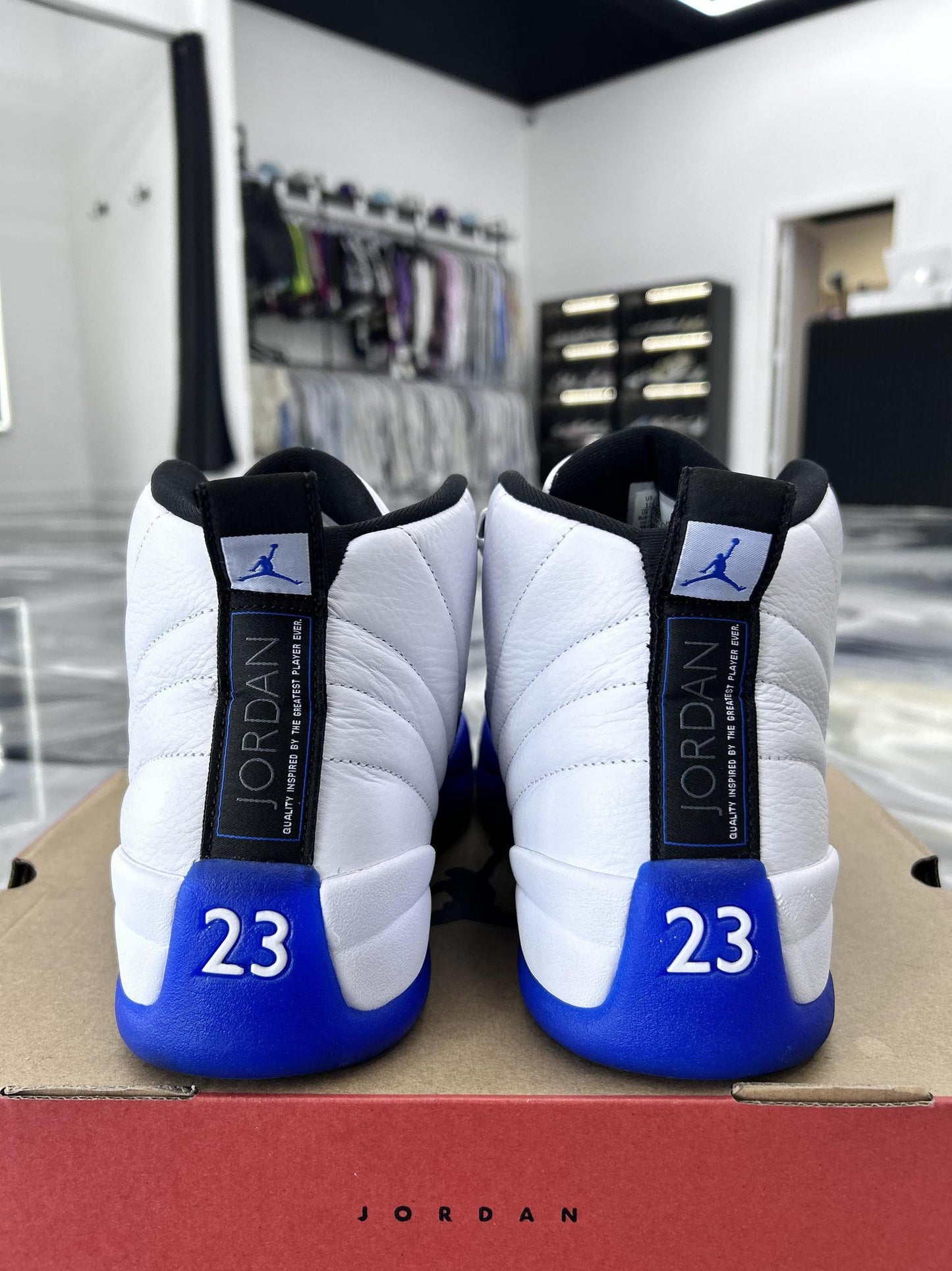 Jordan 12 "Blueberry" Used Size 12