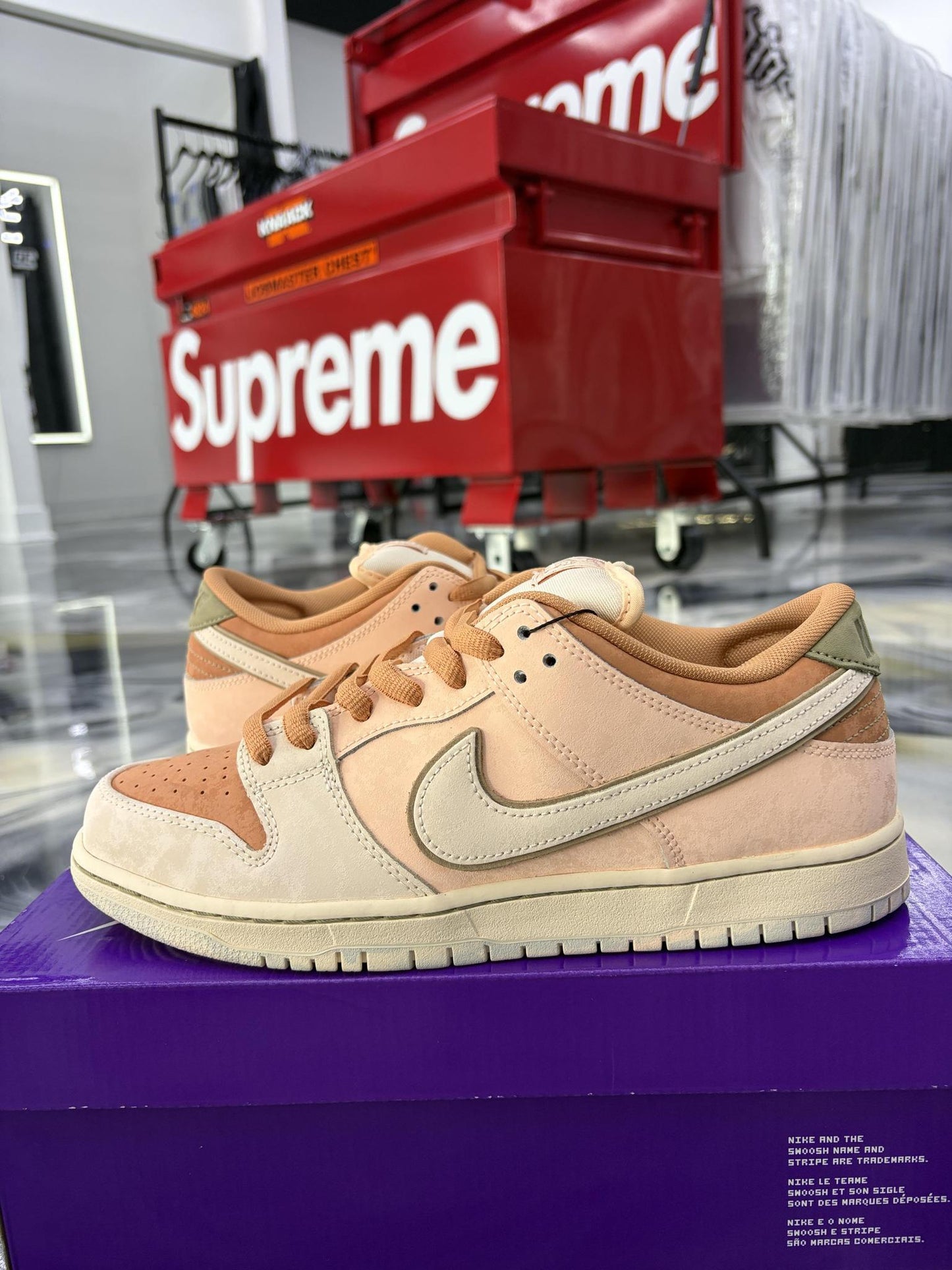 Nike SB Dunk Low "Trocadéro Gardens" Used Size 10.5