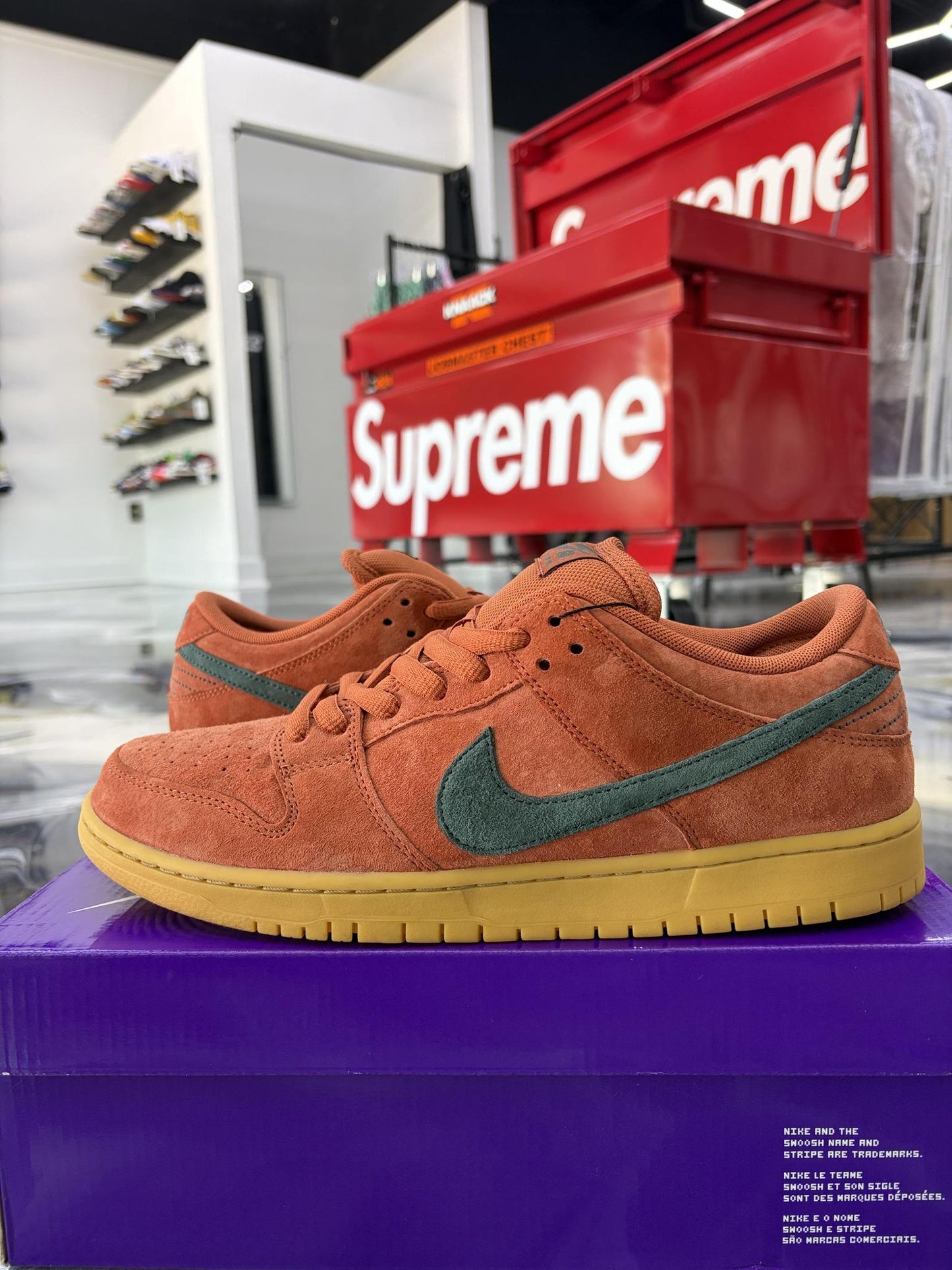 Nike SB Dunk Low "Burnt Sunrise" Used Size 11.5