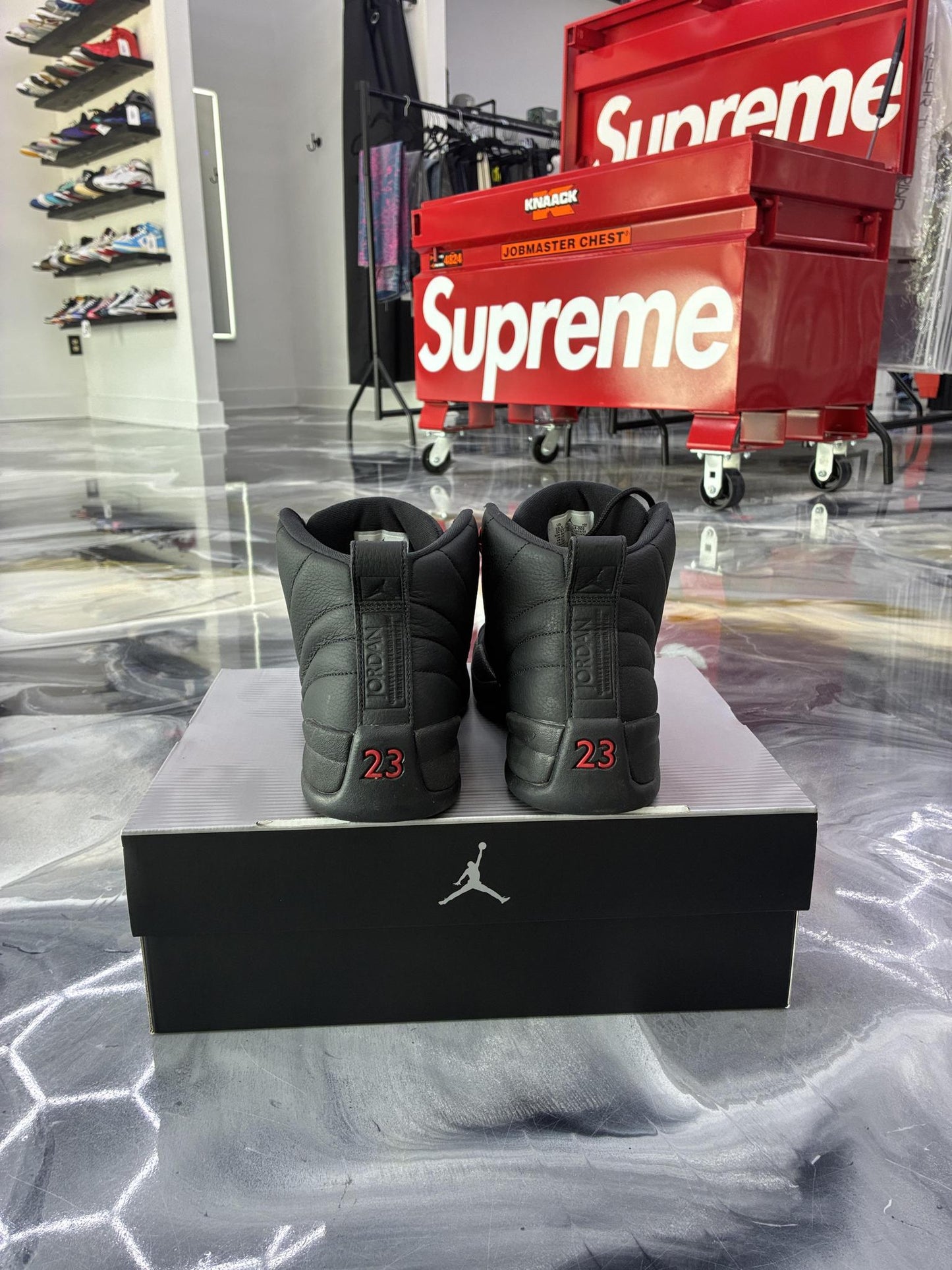 Jordan 12 "Bloodline" Used Size 10.5