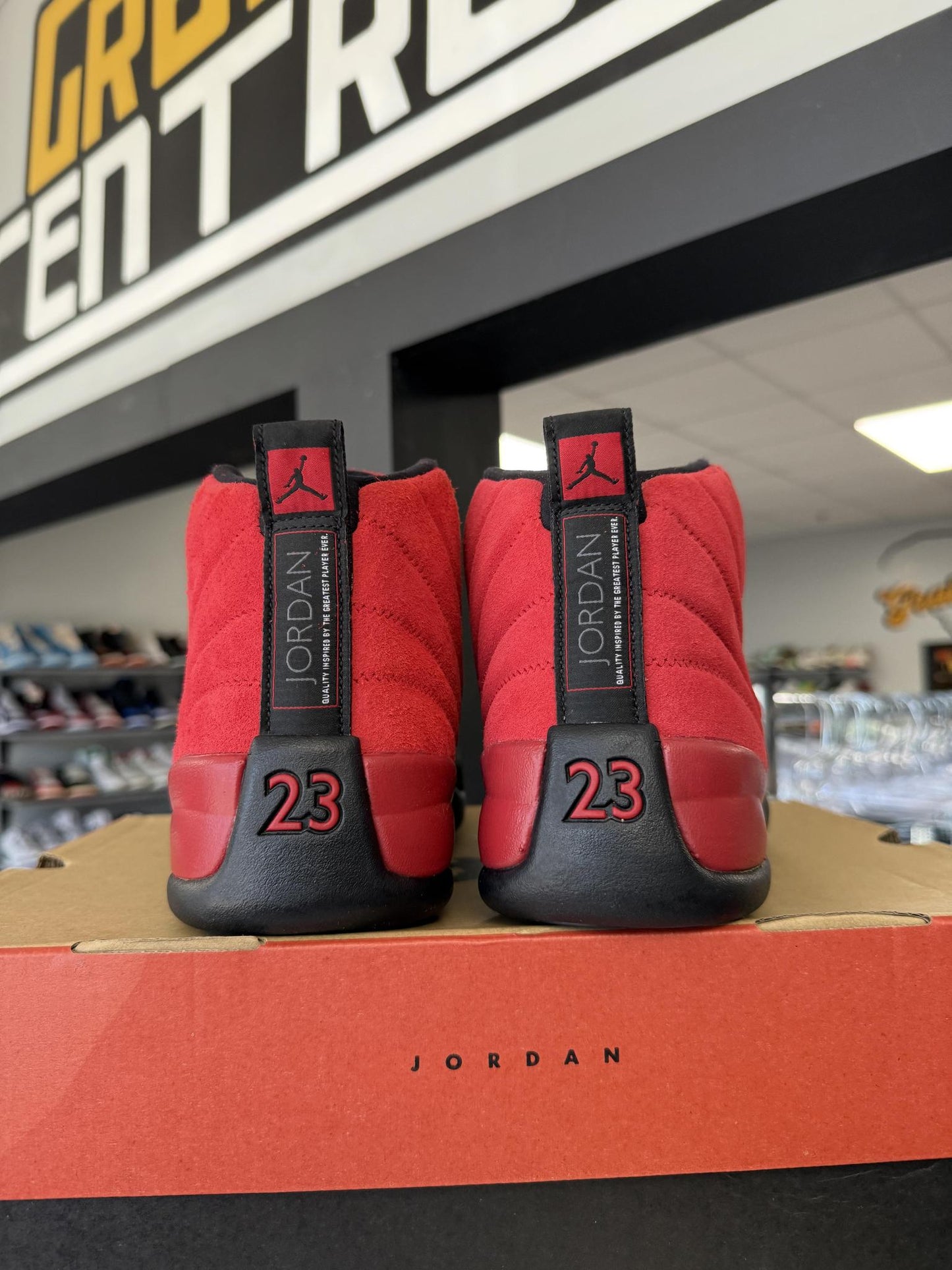 Jordan 12 "Reverse Flu Game" Used Size 10.5