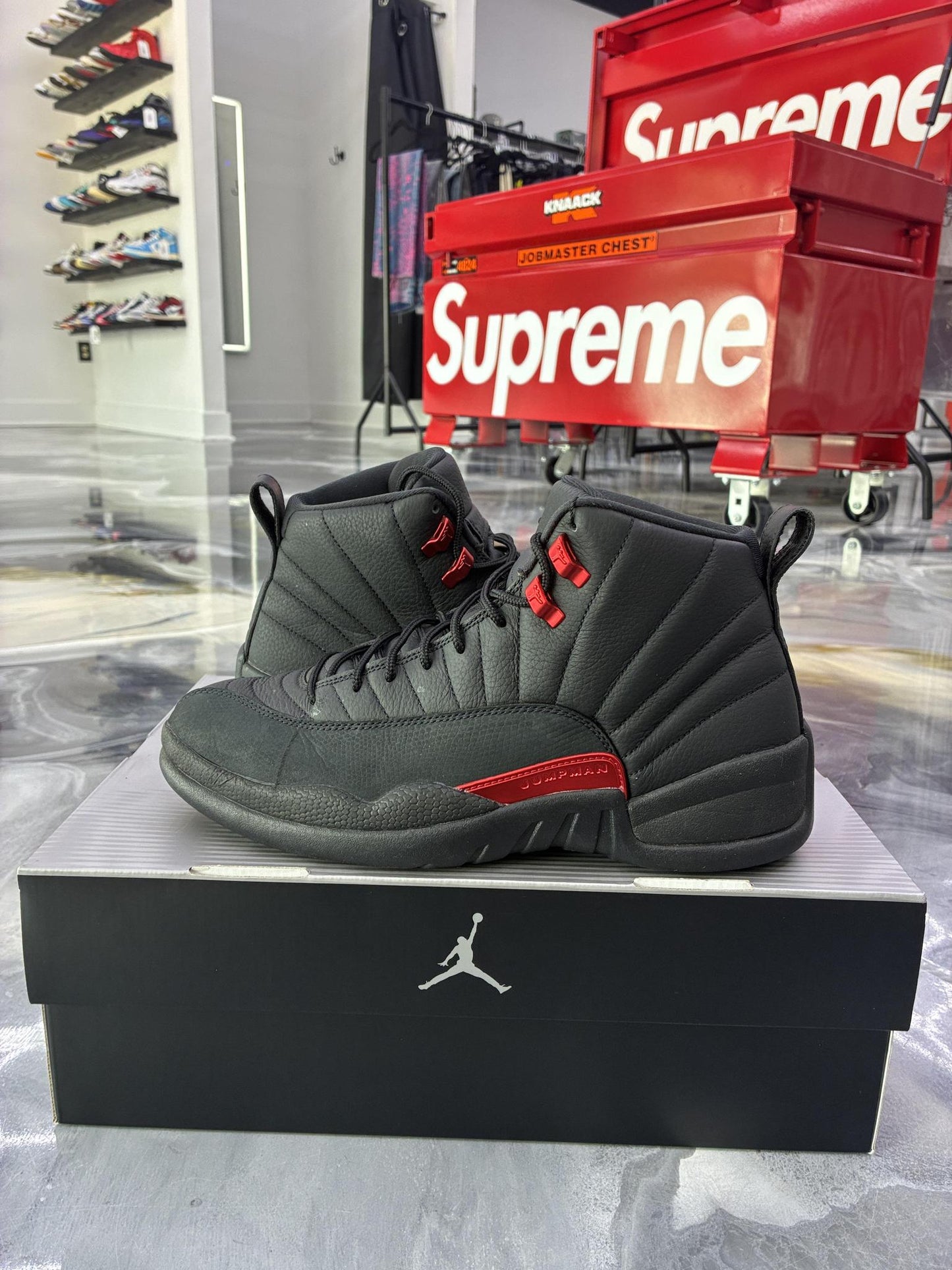 Jordan 12 "Bloodline" Used Size 10.5