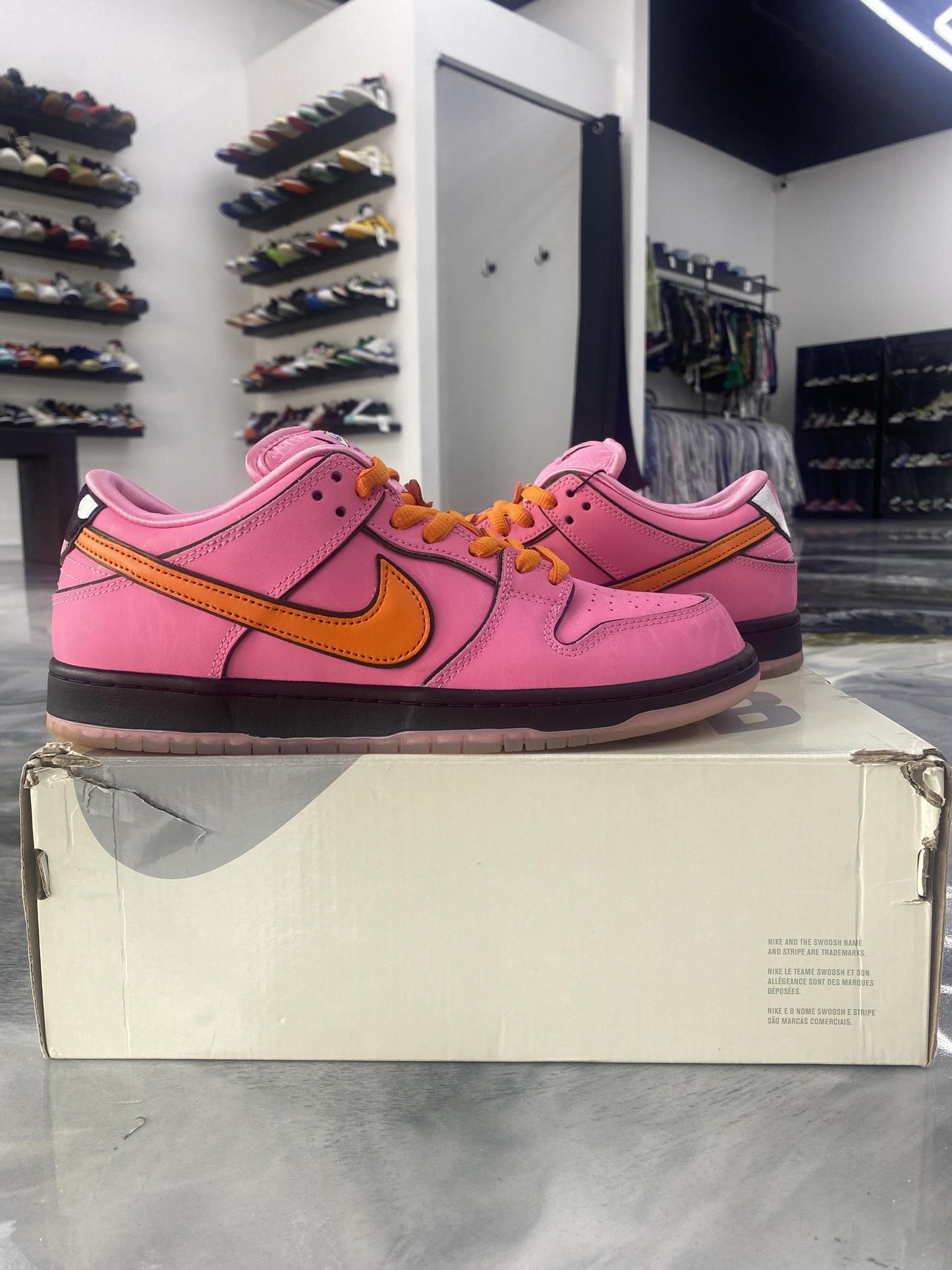 Nike SB Dunk Low x "Powderpuff" Used Size 9.5