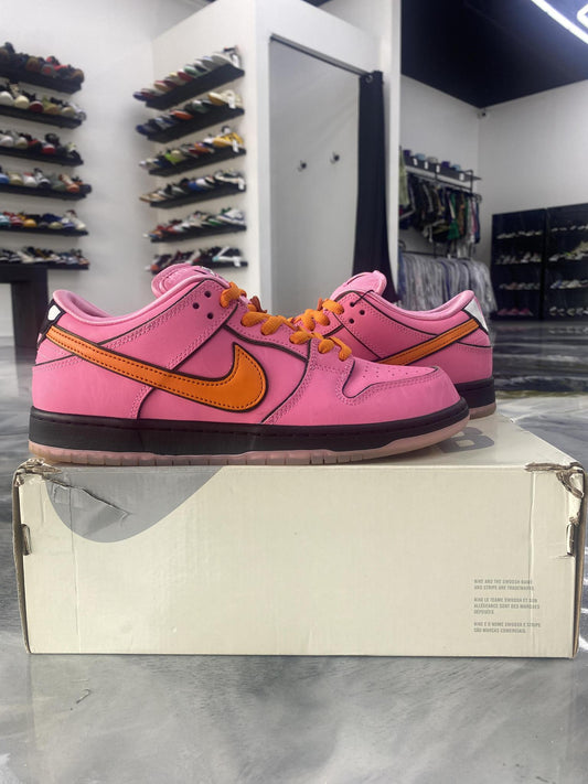 Nike SB Dunk Low x "Powderpuff" Used Size 9.5