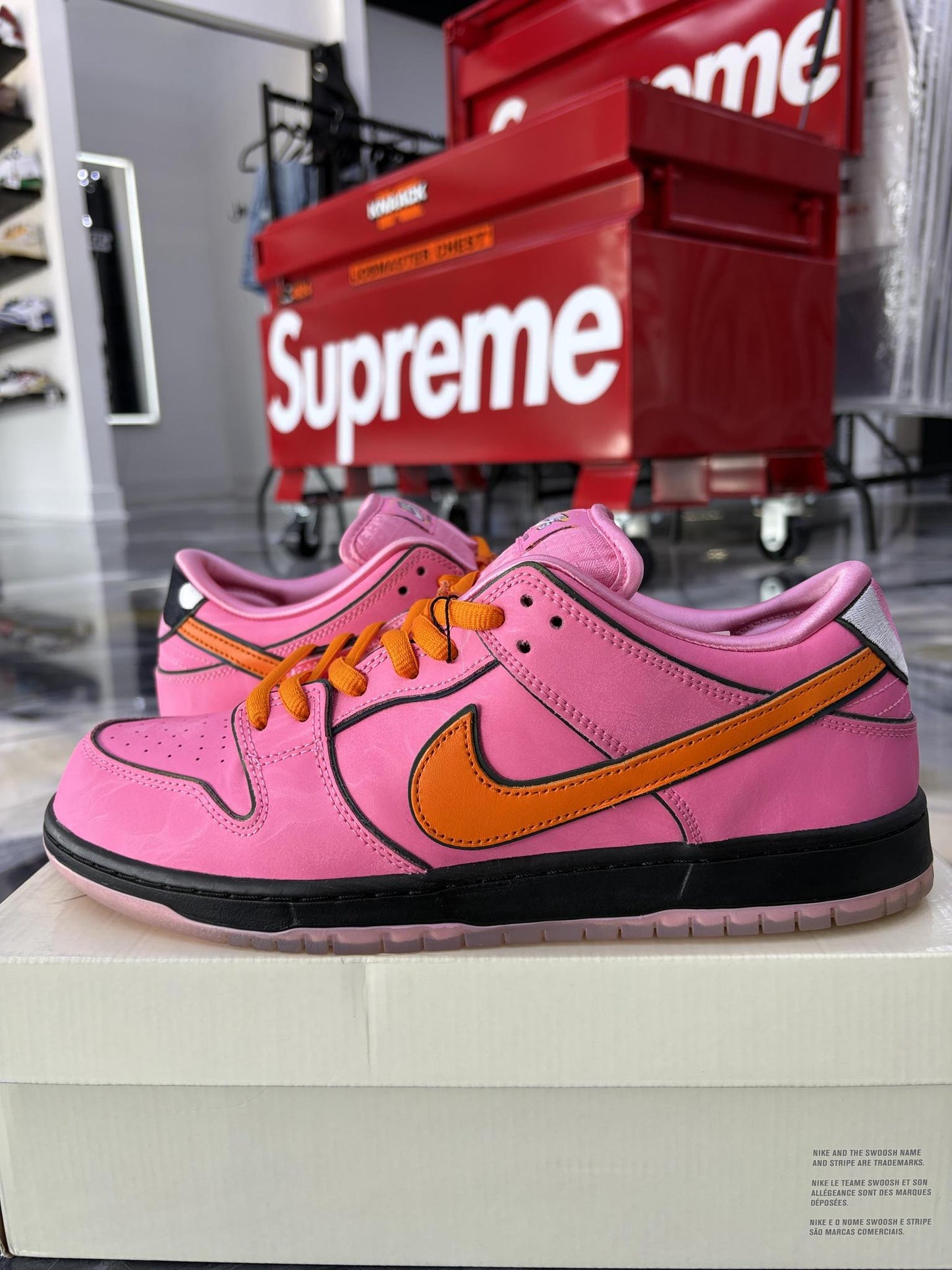 Nike SB Dunk Low "Powerpuff Blossom" Used Size 12