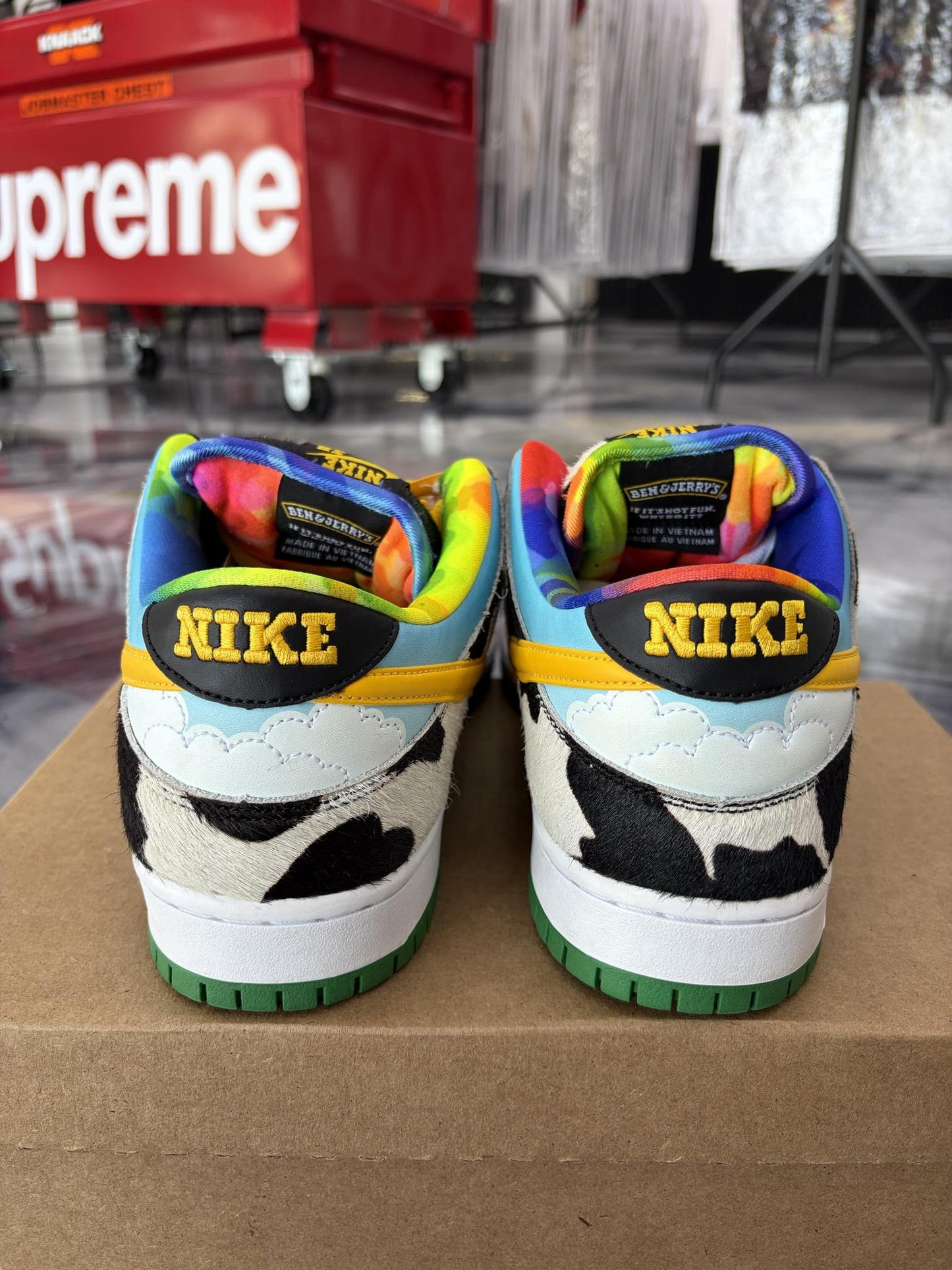 Nike SB Dunk Low "Chunky Dunk" Used Size 12