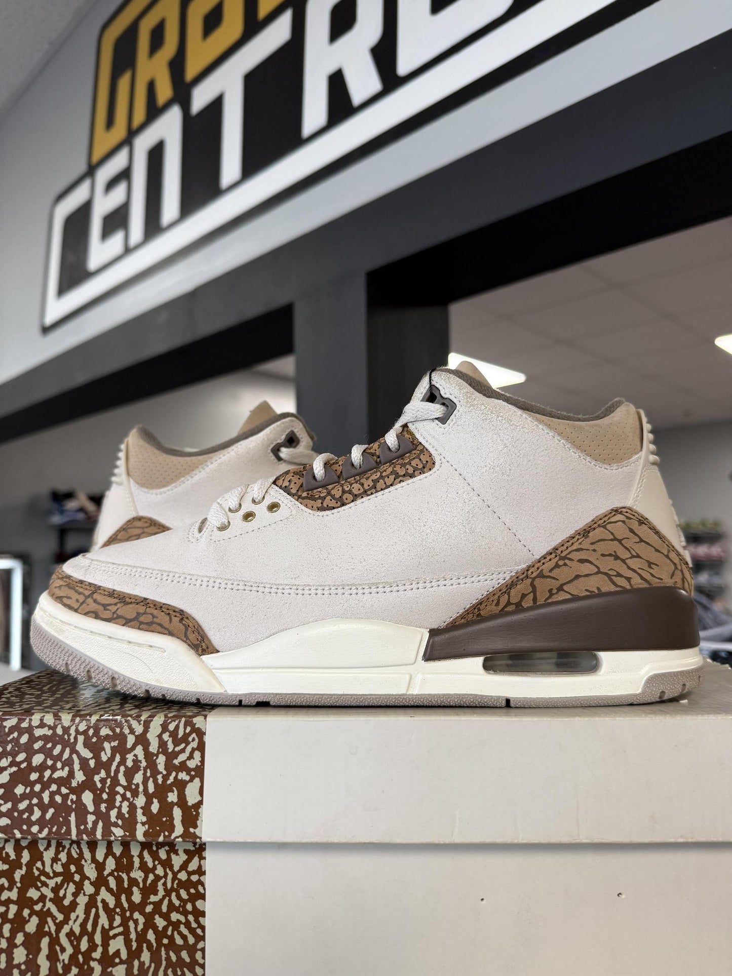 Jordan 3 "Palomino" Used Size 10