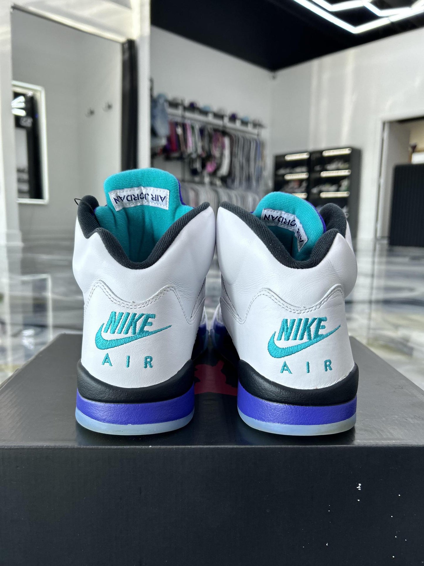 Jordan 5 "Grape" Used Size 11