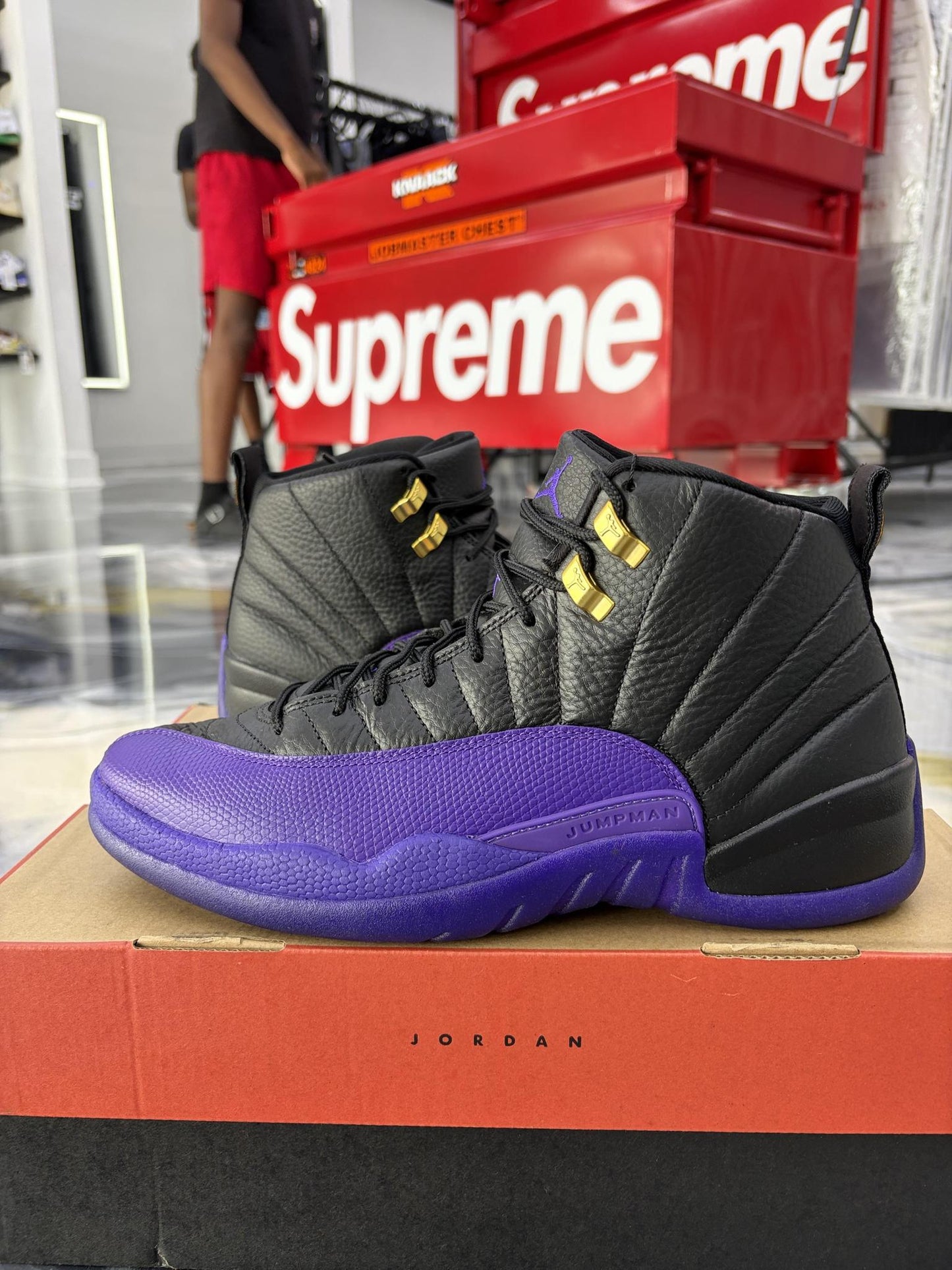 Jordan 12 "Field Purple" Used Size 11