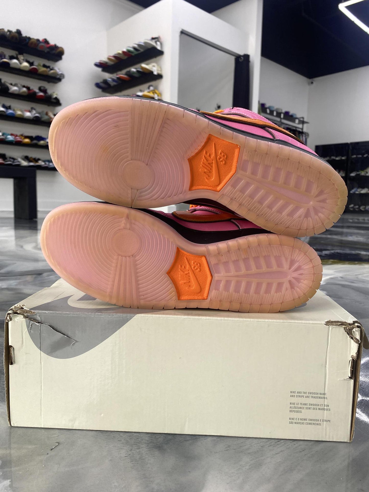 Nike SB Dunk Low x "Powderpuff" Used Size 9.5