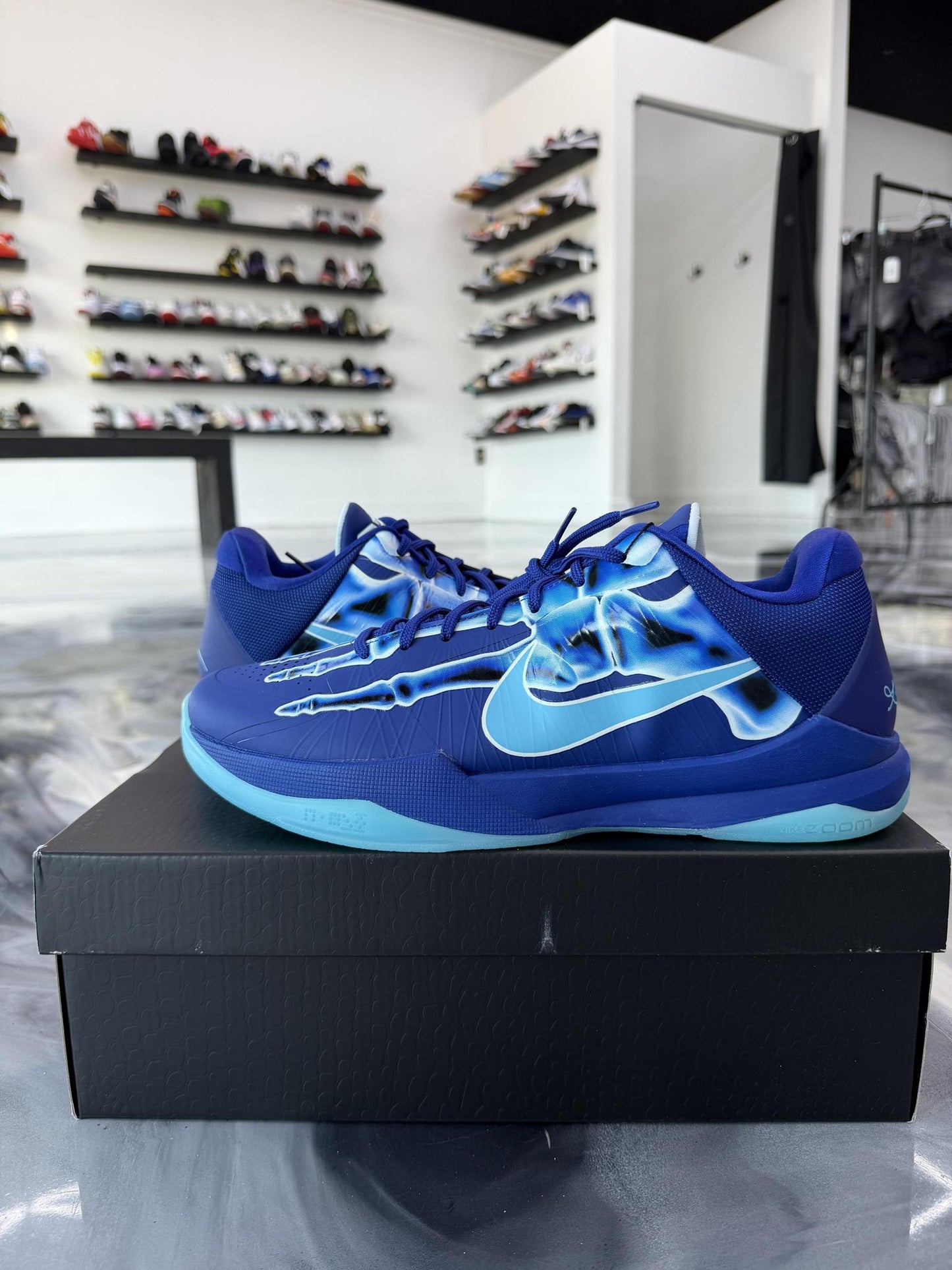 Kobe 5 Protro "X-Ray" Used Size 12