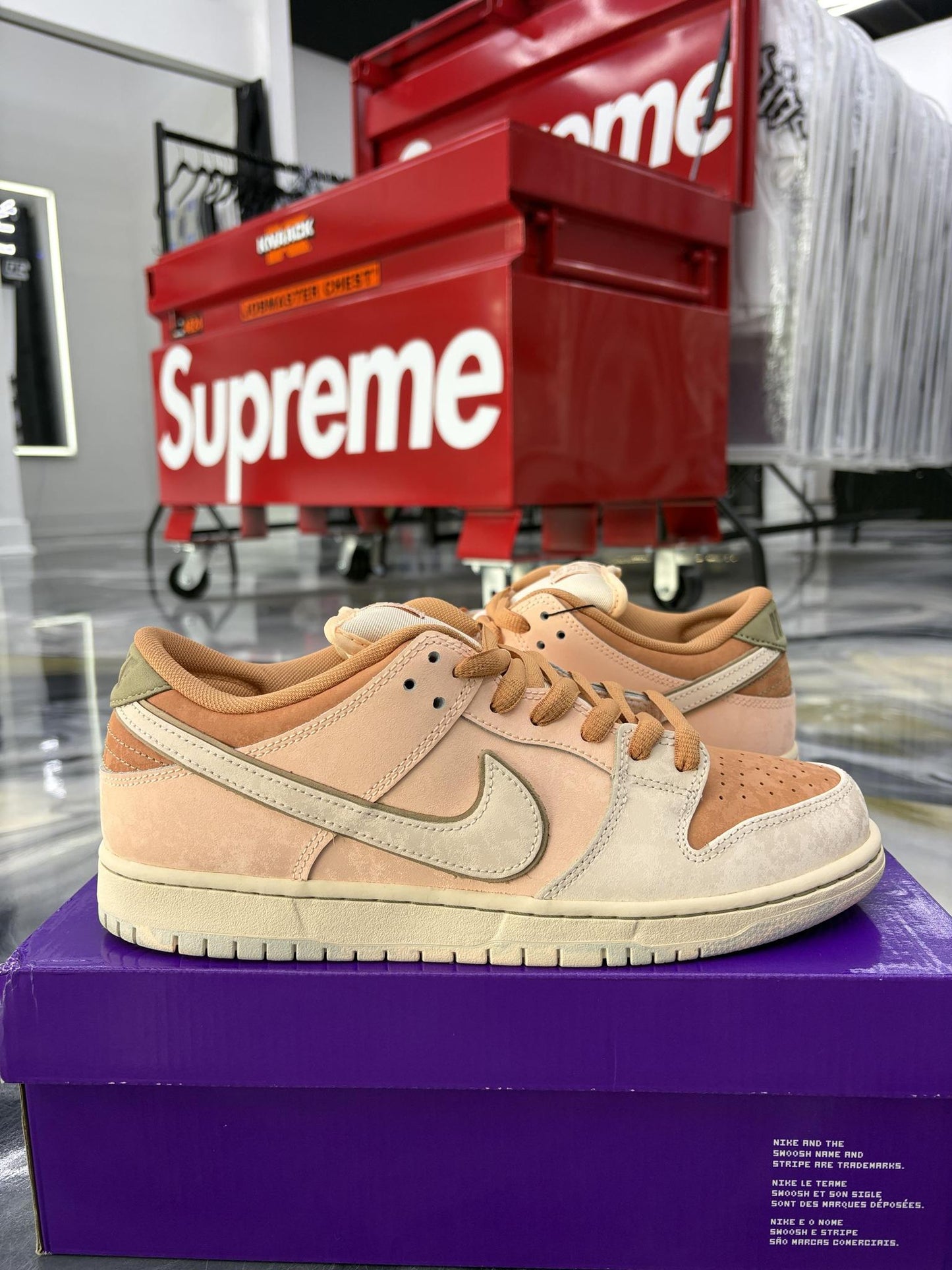 Nike SB Dunk Low "Trocadéro Gardens" Used Size 10.5