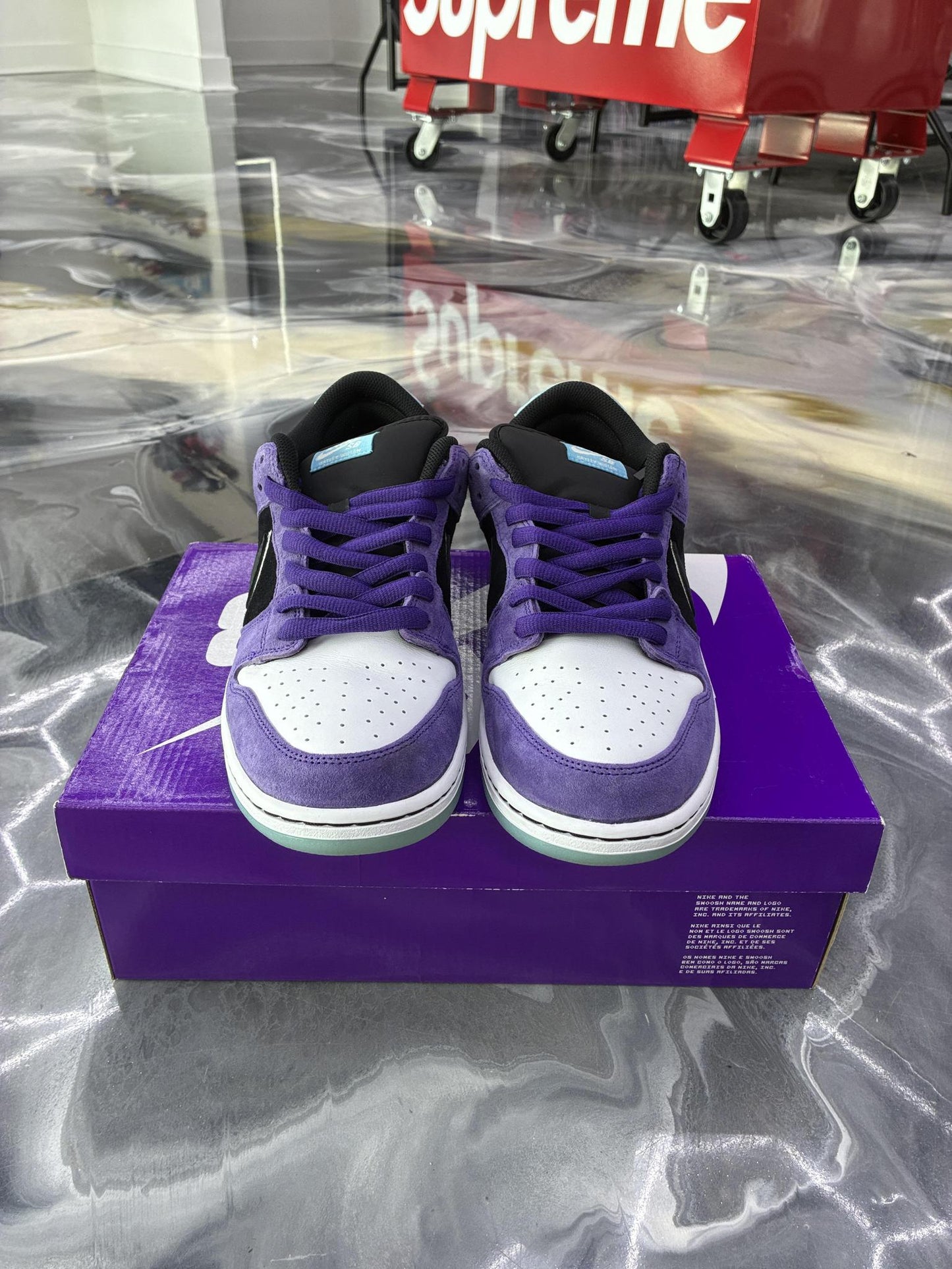 Nike SB Dunk Low "Hayley Wilson" Used Size 12