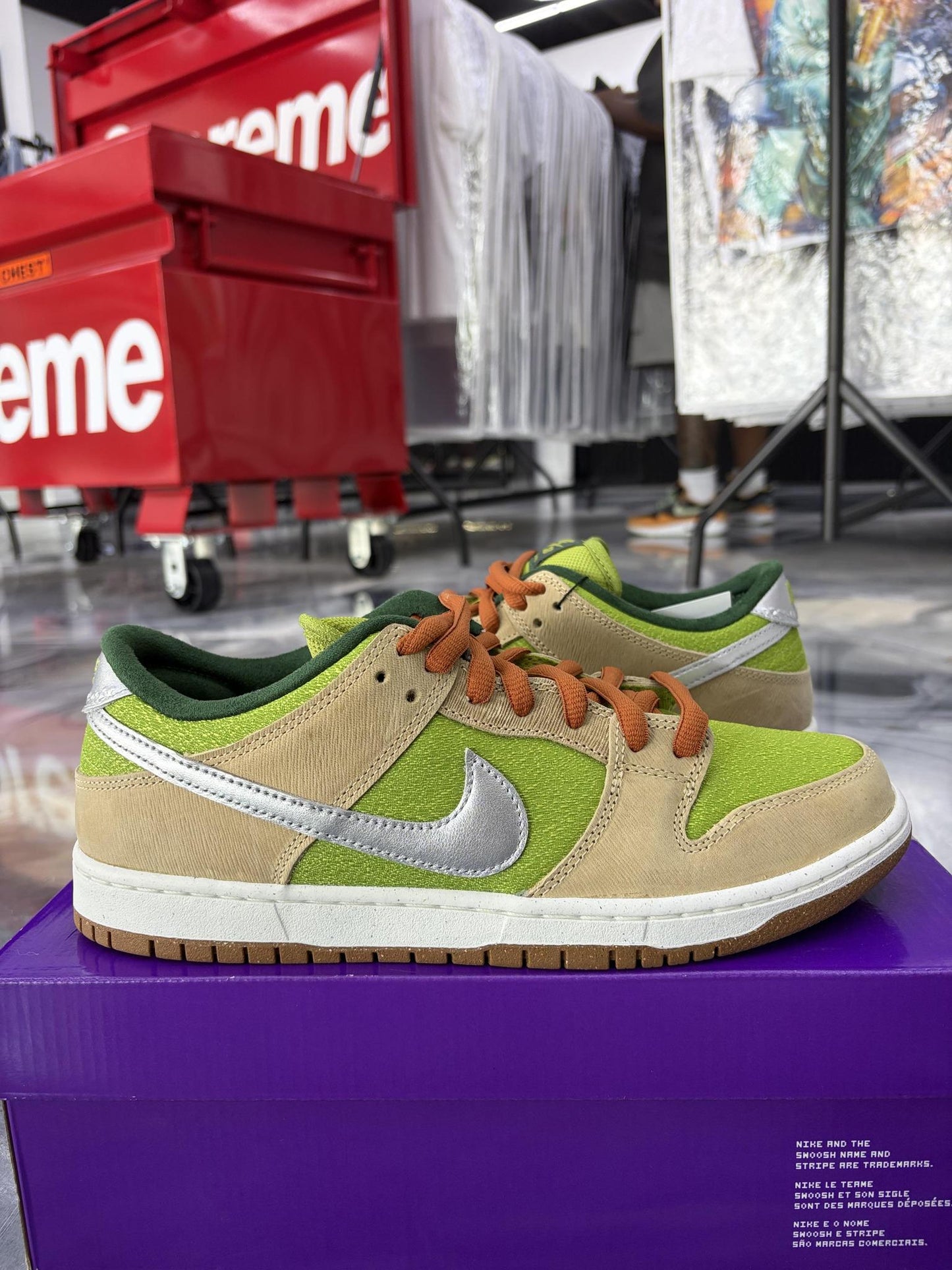 Nike SB Dunk Low "Escargot" Used Size 10.5