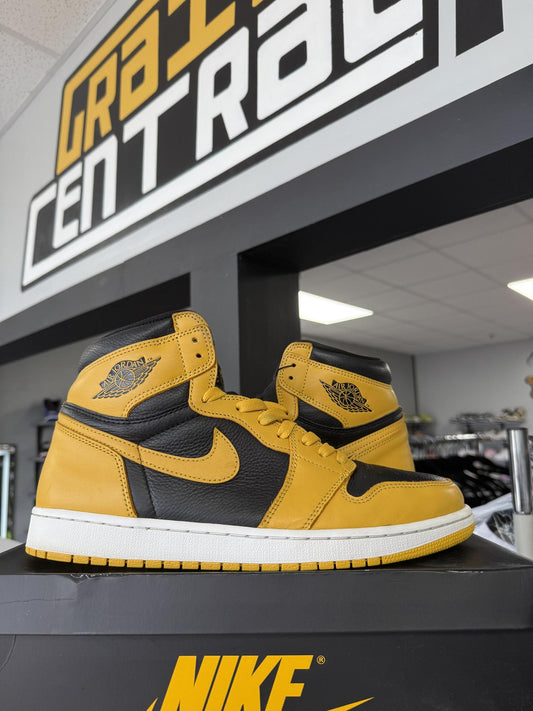 Jordan 1 "Pollen" Used