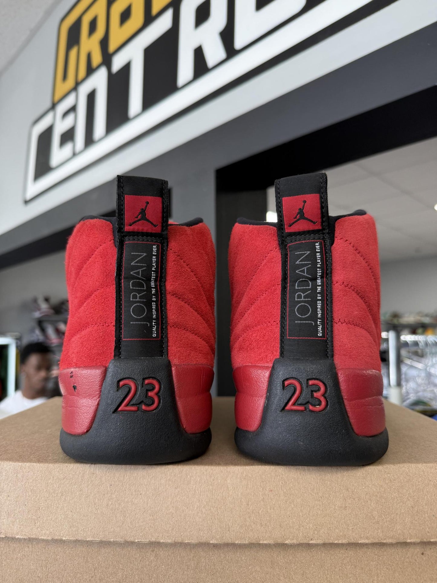Jordan 12 "Reverse Flu Game" Used Size 12