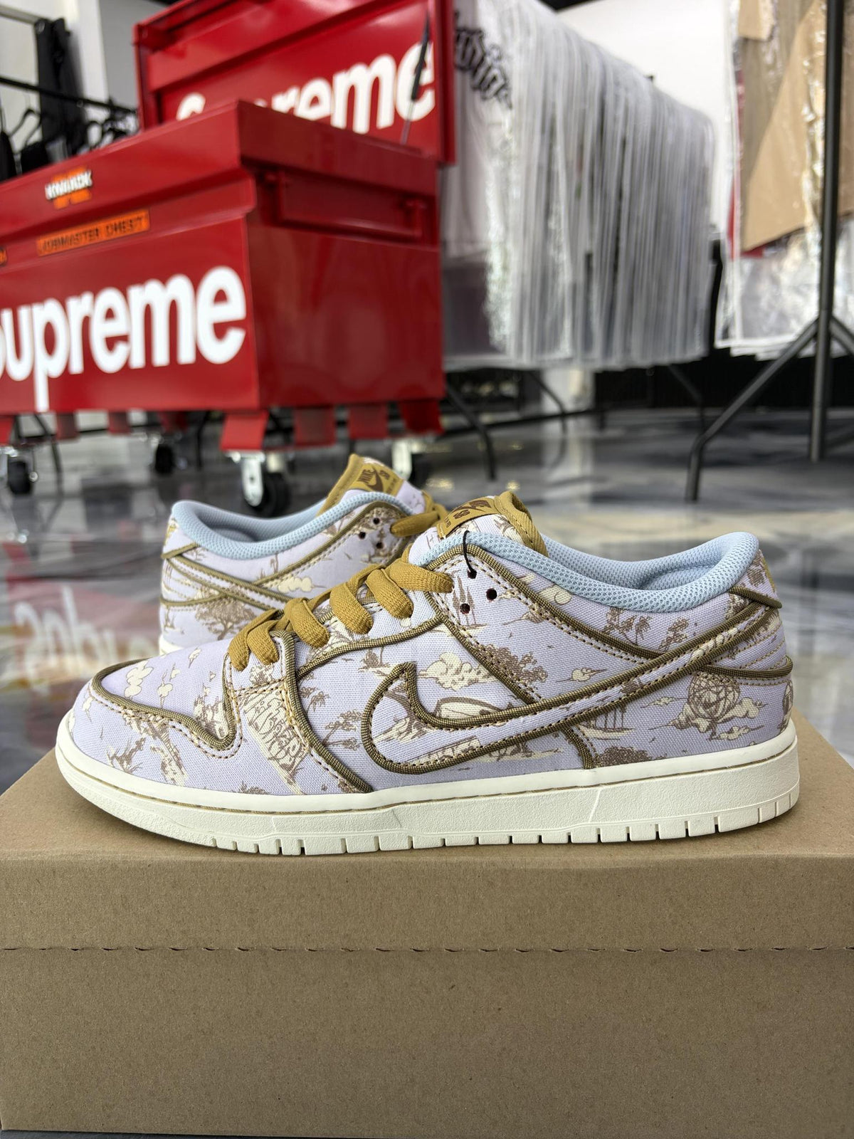 Nike SB Dunk Low "City of Style" Used Size 9.5