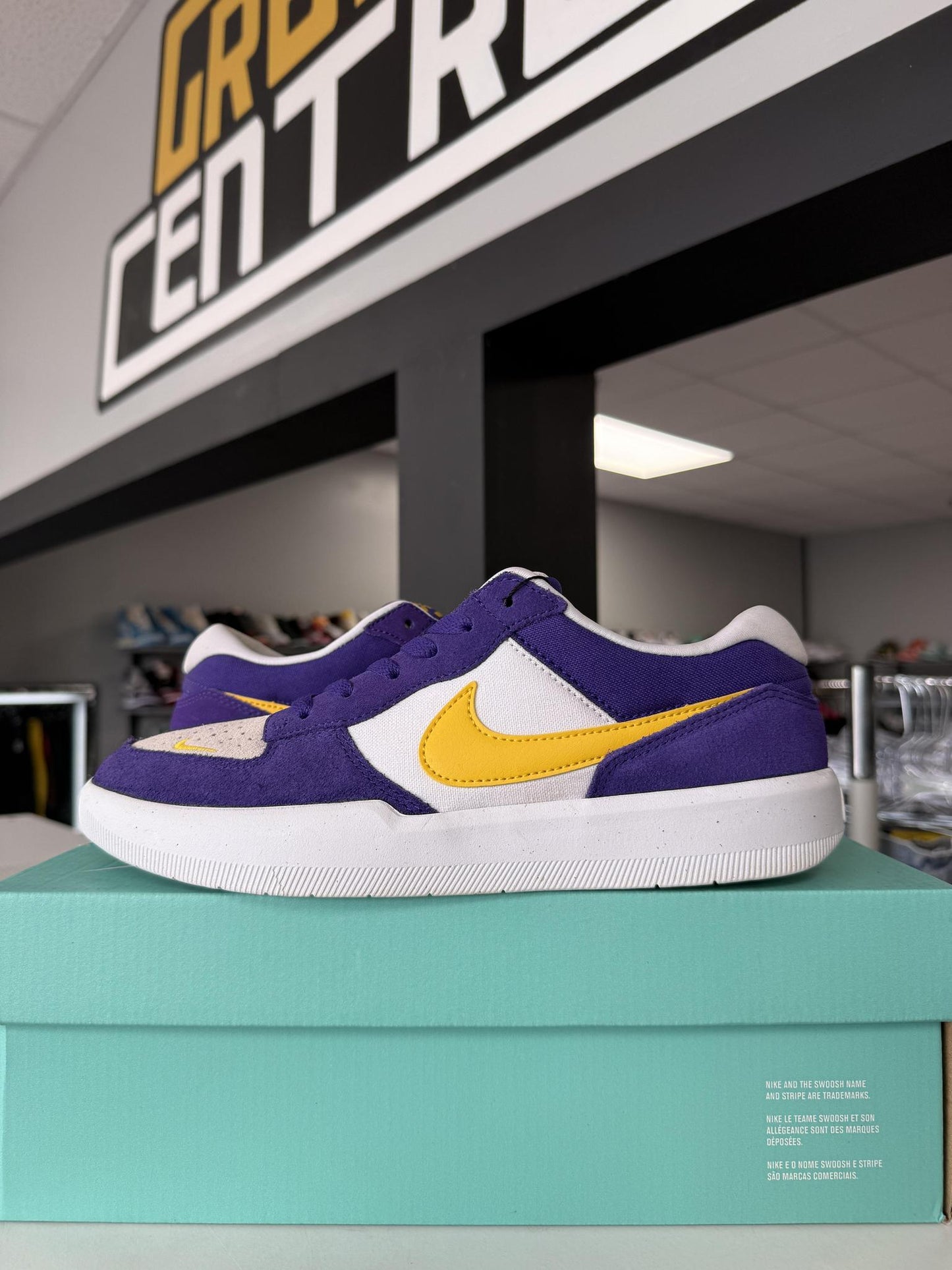 Nike SB Force 58 "Court Purple" Used Size 9