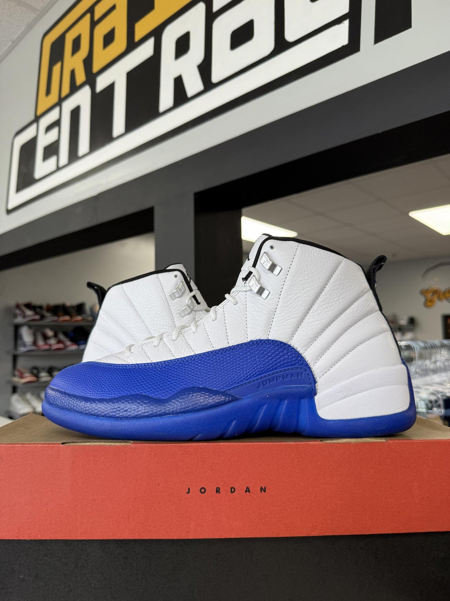Jordan 12 "Blueberry" Used Size 11
