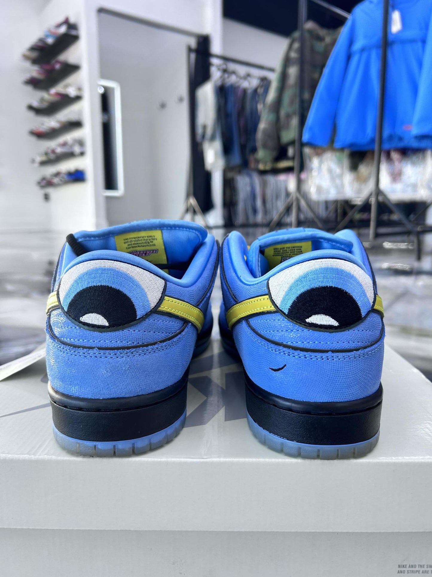Nike SB Dunk Low "PowerPuff Bubbles" Used Size 12