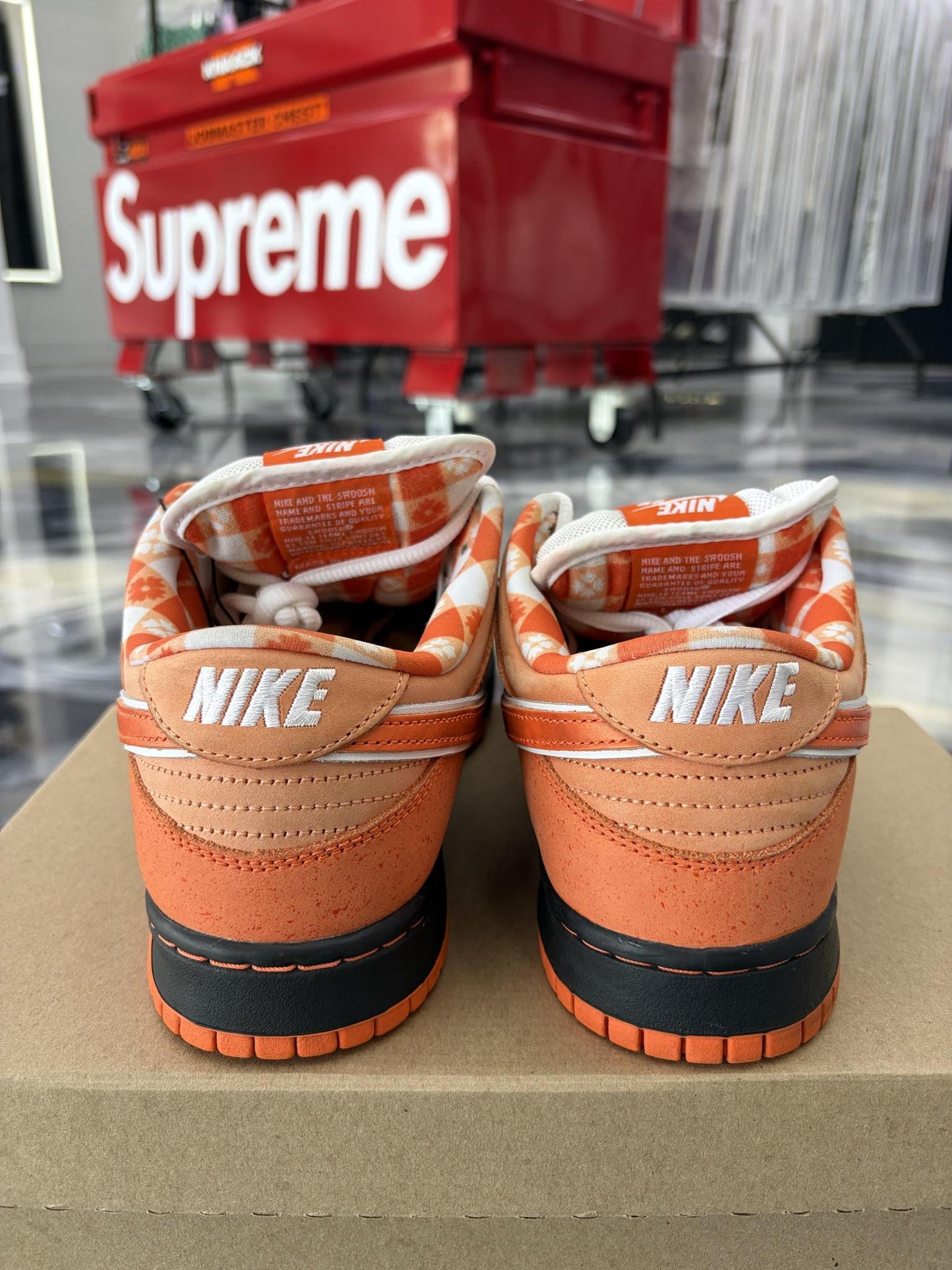 Nike SB Dunk Low "Orange Lobster" Used Size 10